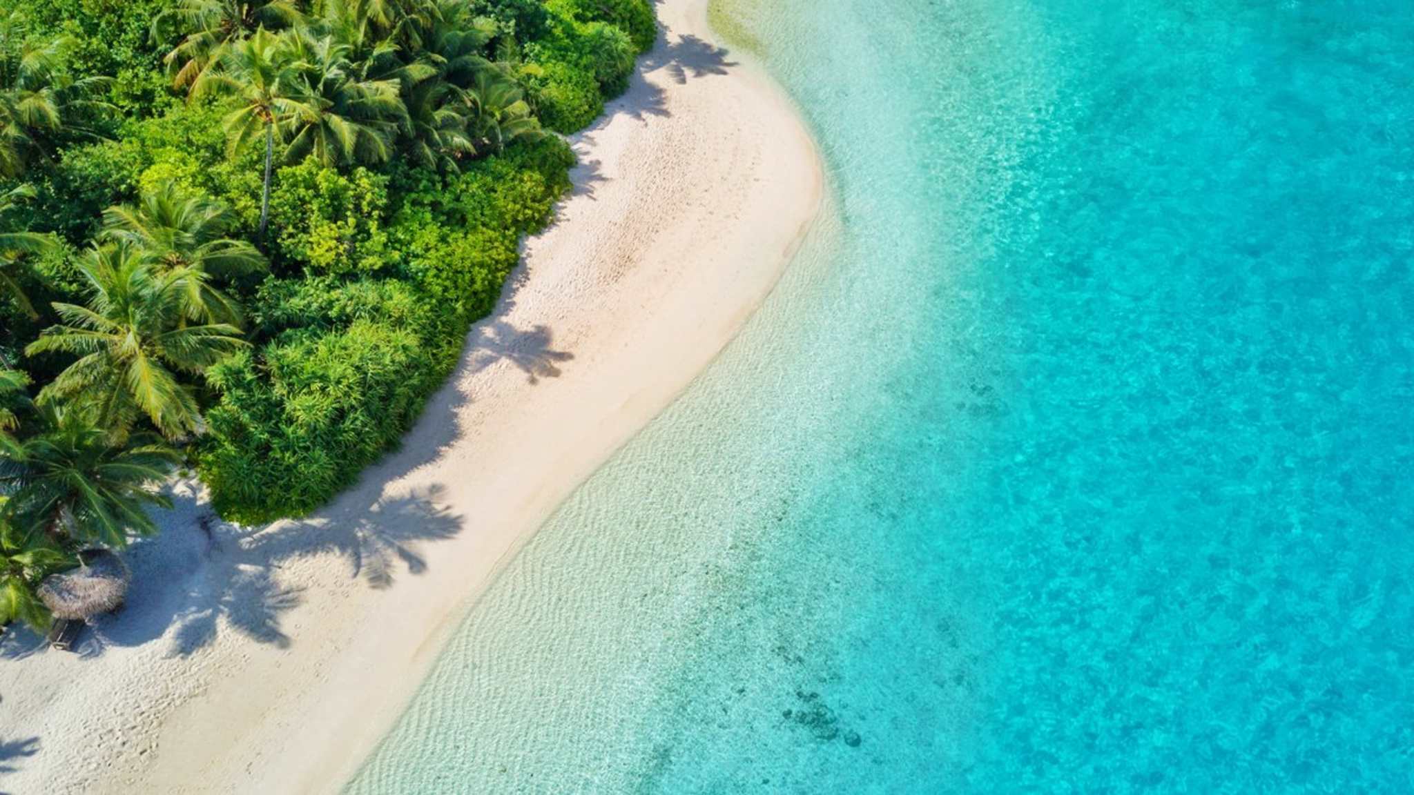 Richtig geraten: Das sind die Malediven. © Jag_cz/Shutterstock.com