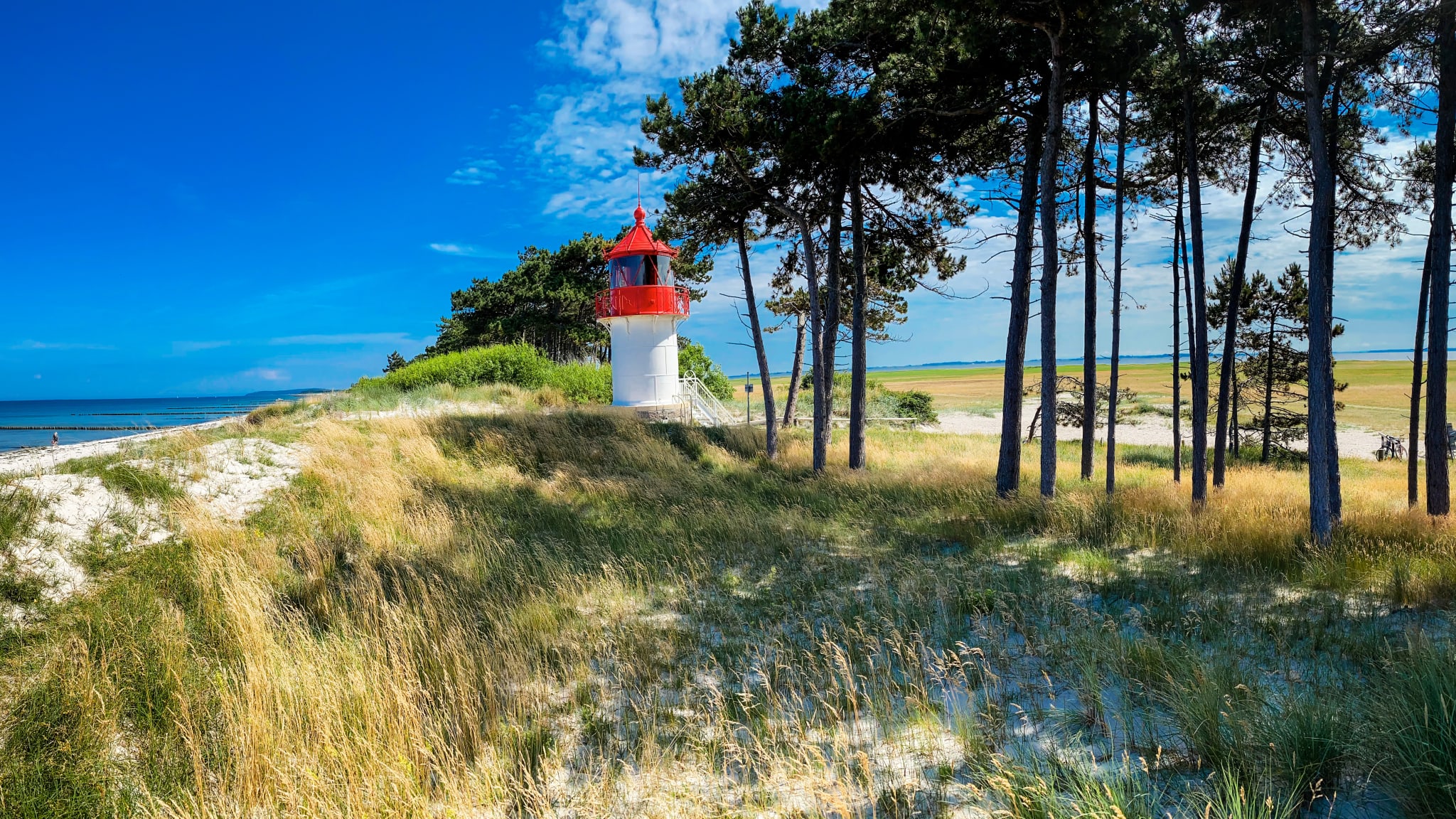 Fkk Strand Rügen – Naturstrand/Schaabe : Ostseebad Breege-Juliusruh – PTLJF