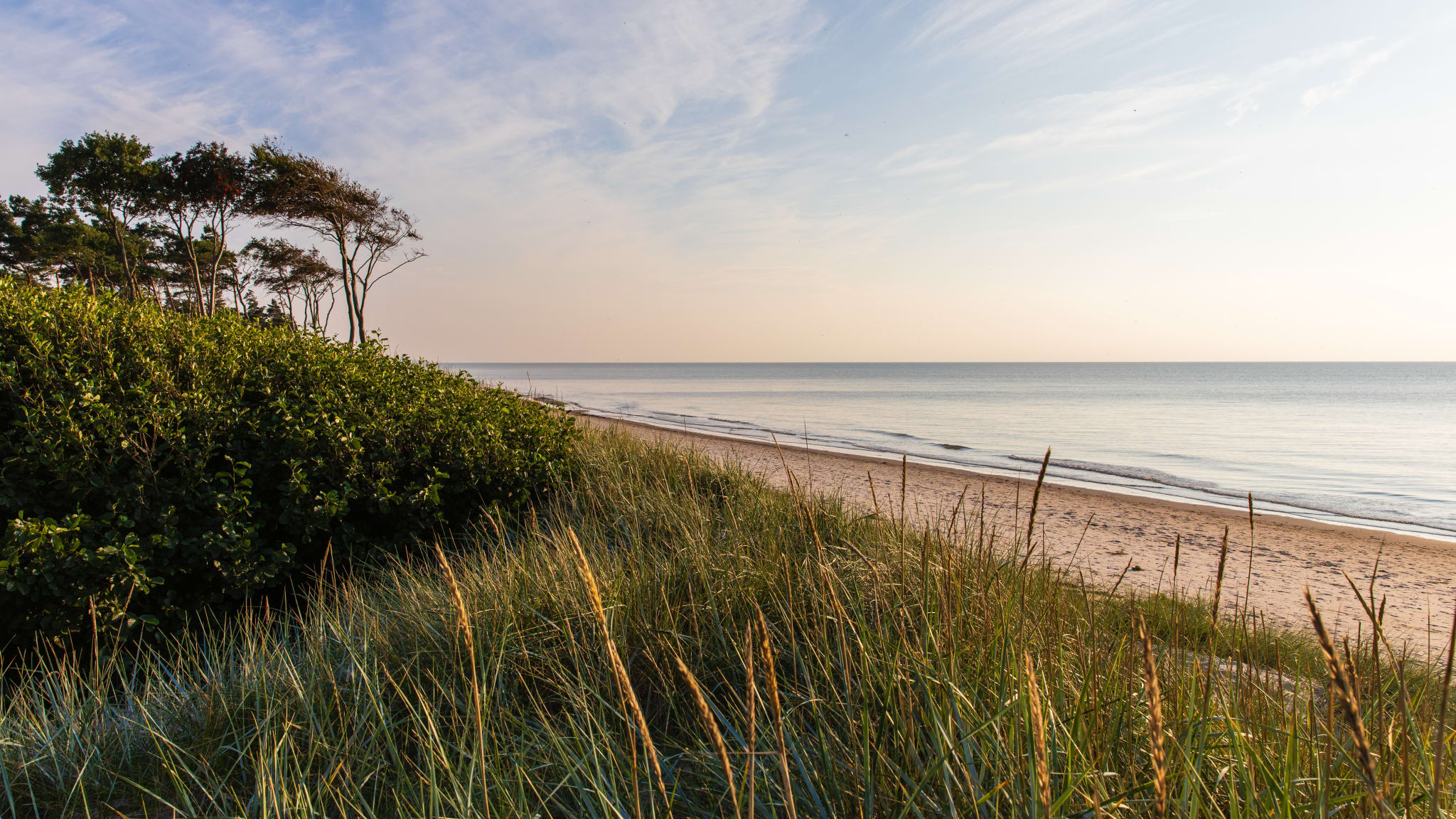 Weststrand, Fischland-Darß-Zingst © Adobestock/Karl-Heinz Schmidt