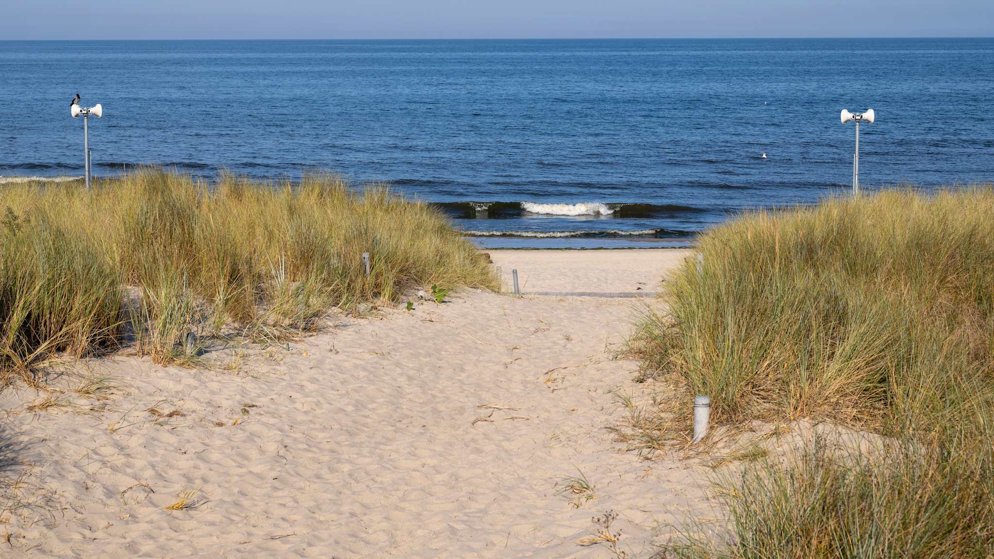 Weg durch Dünen zum Strand.