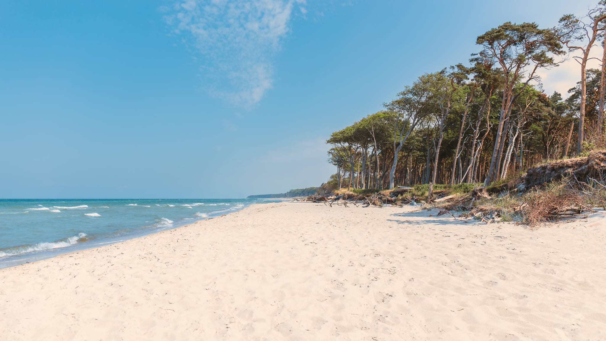 Weststrand Prerow, Fischland-Darß-Zingst © Adobestock/tobibambola