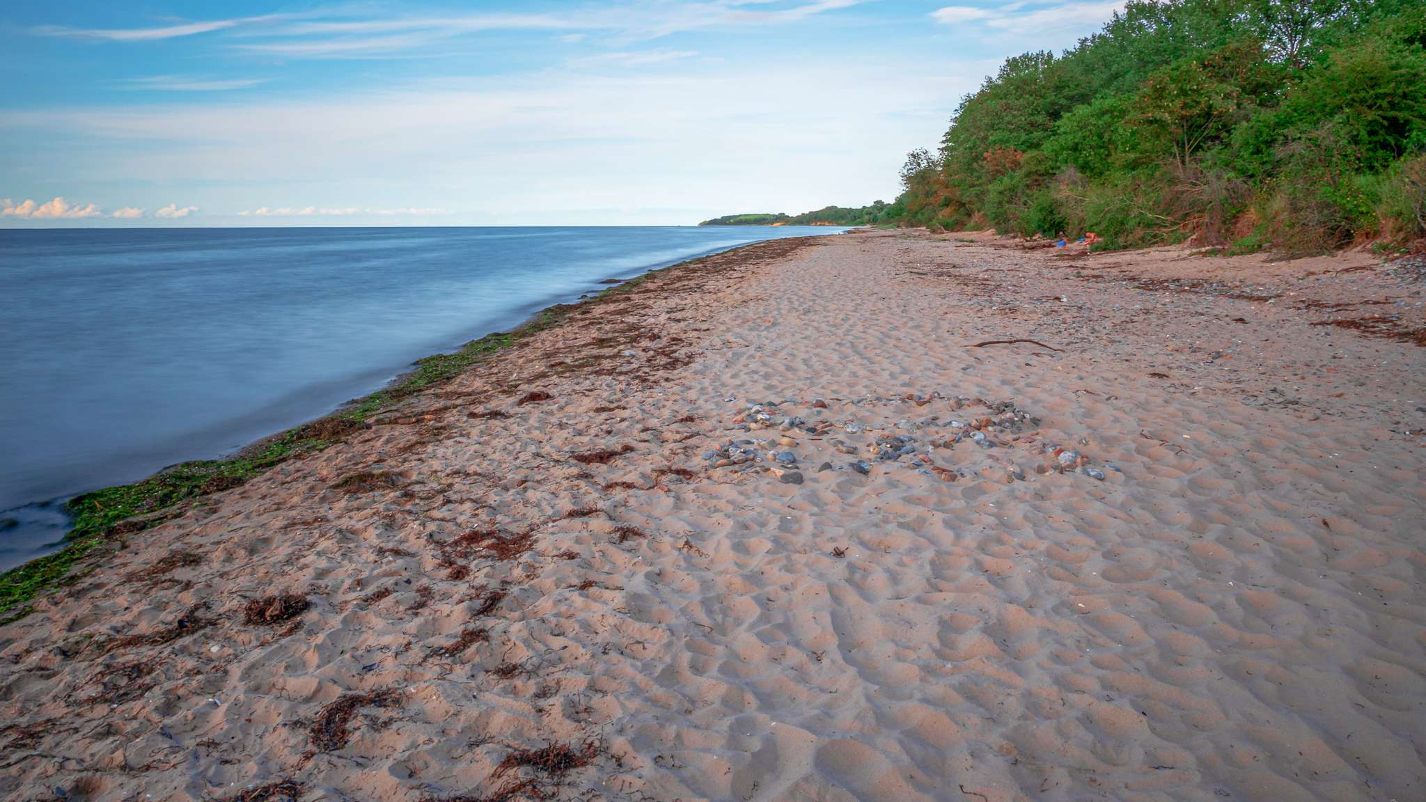 Blick über einen leeren Strand mit grünen Bäumen.