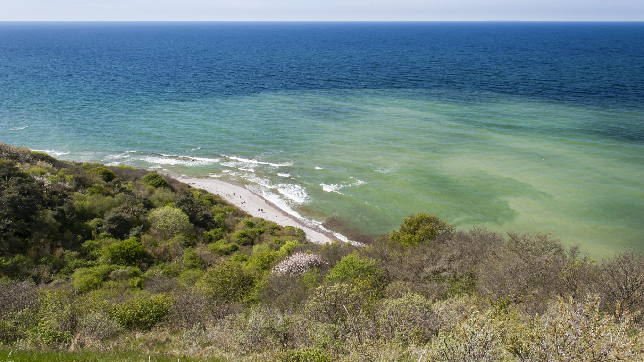 Schmaler Strandabschnitt auf der Insel Hiddensee.