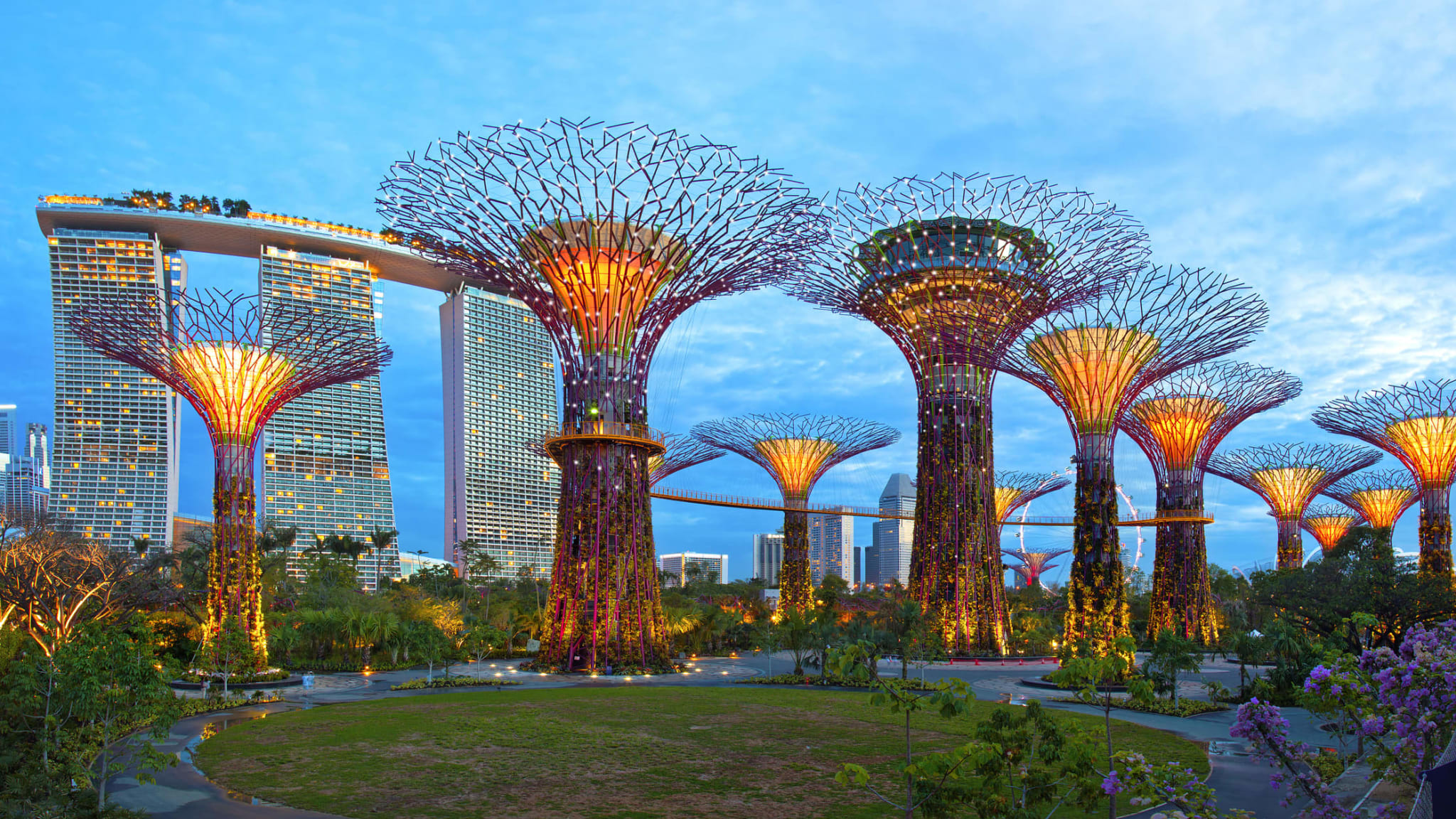 Supertrees am Abend im Gardens by the Bay in Singapur.