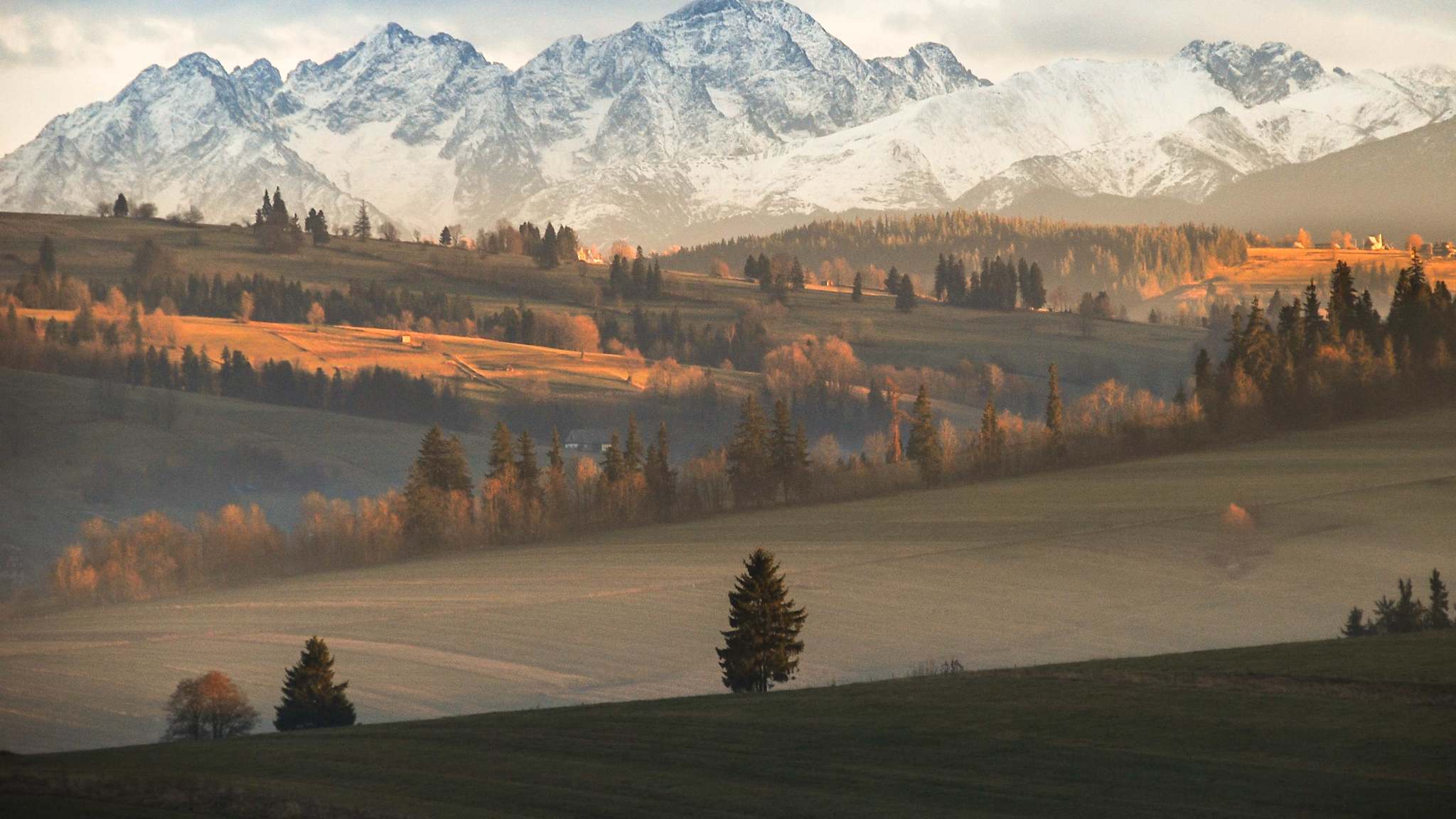 Blick auf das Tatra-Gebirge in Zakopane, Polen.