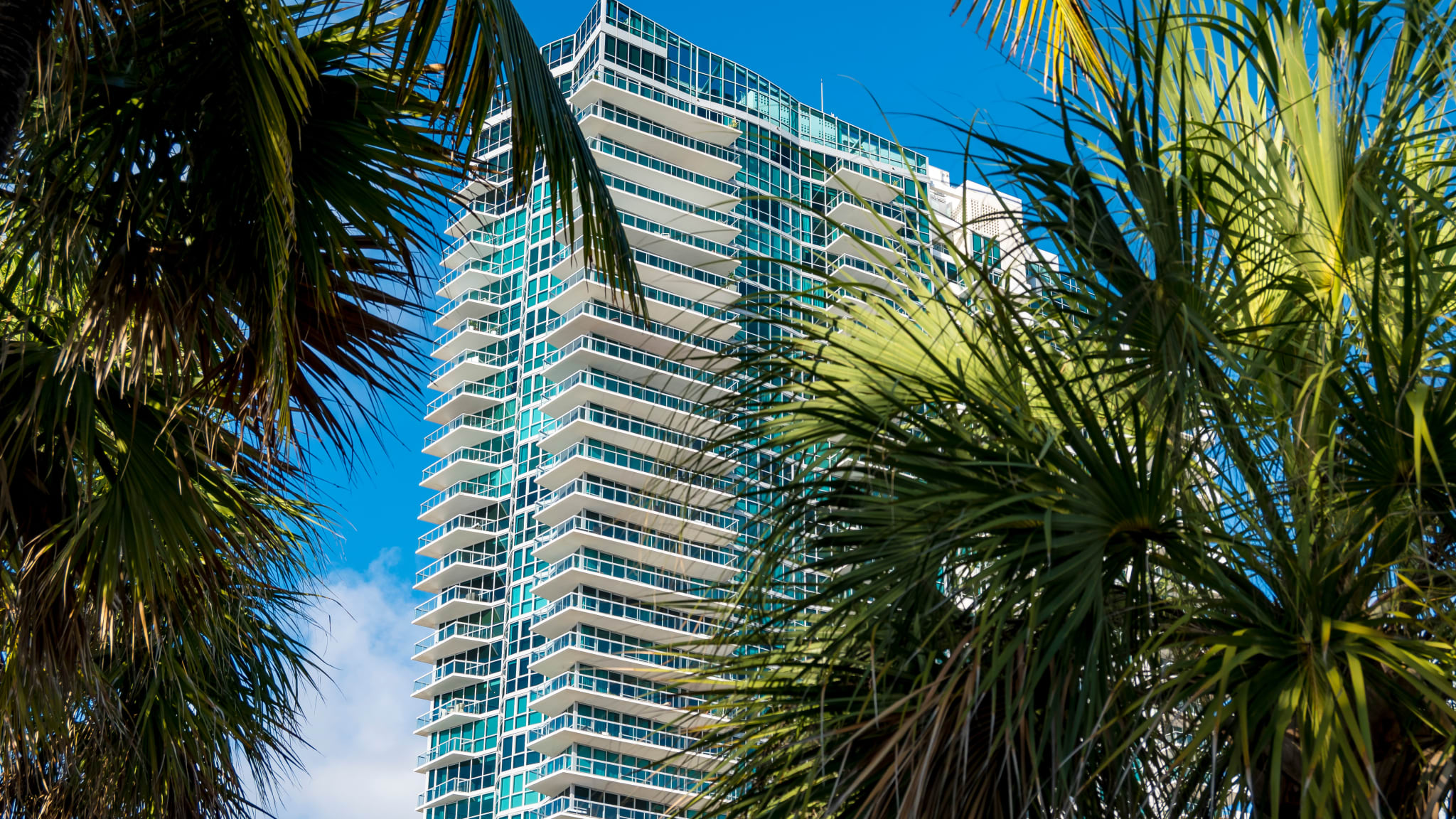 Hochhaus und Palmen