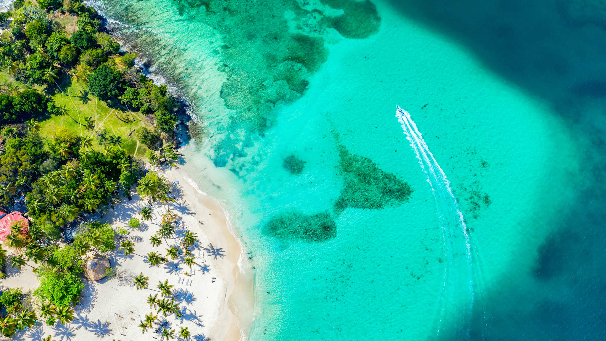 Tropische Insel Cayo Levantado, Dominikanische Republik