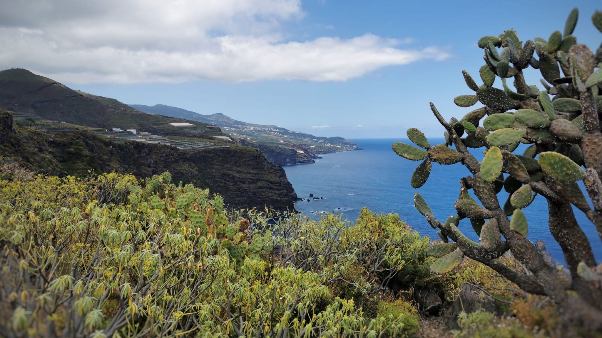 Tropische Landschaft, La Palma, Spanien