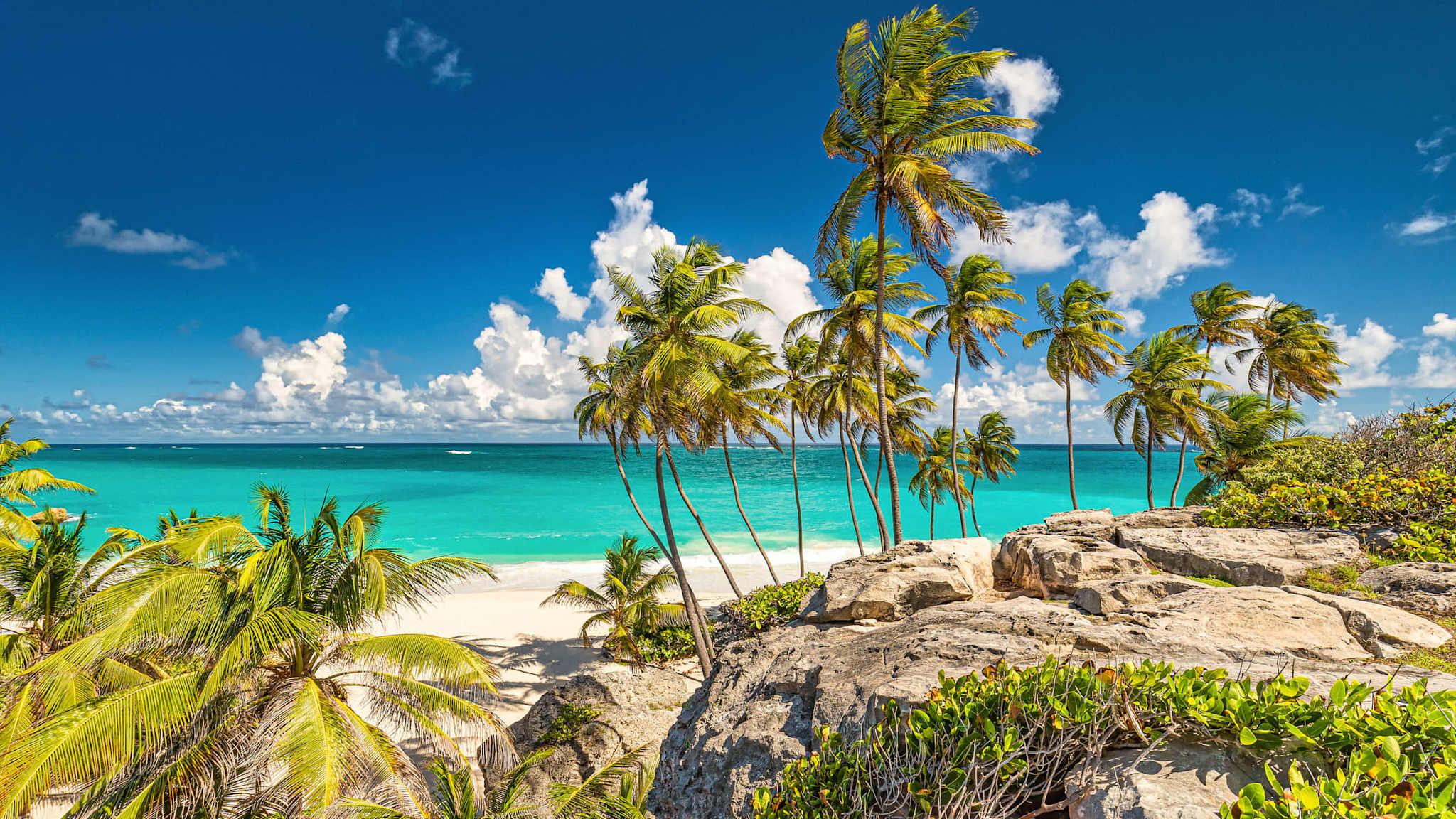 Tropischer Strand mit Palmen und Felsen auf Barbados.
