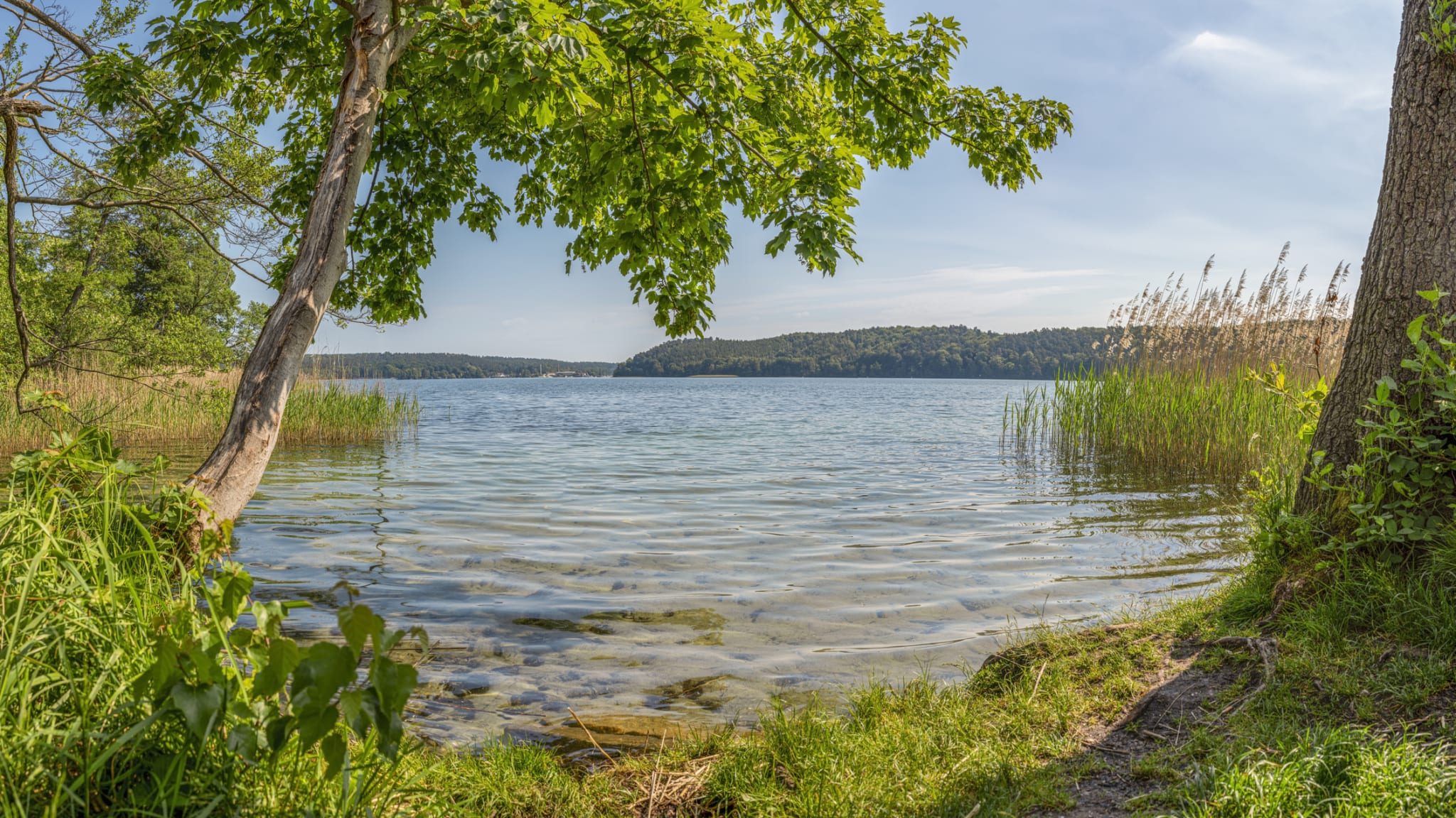 Ufer des leeren Werbelinsee, Brandenburg, Deutschland