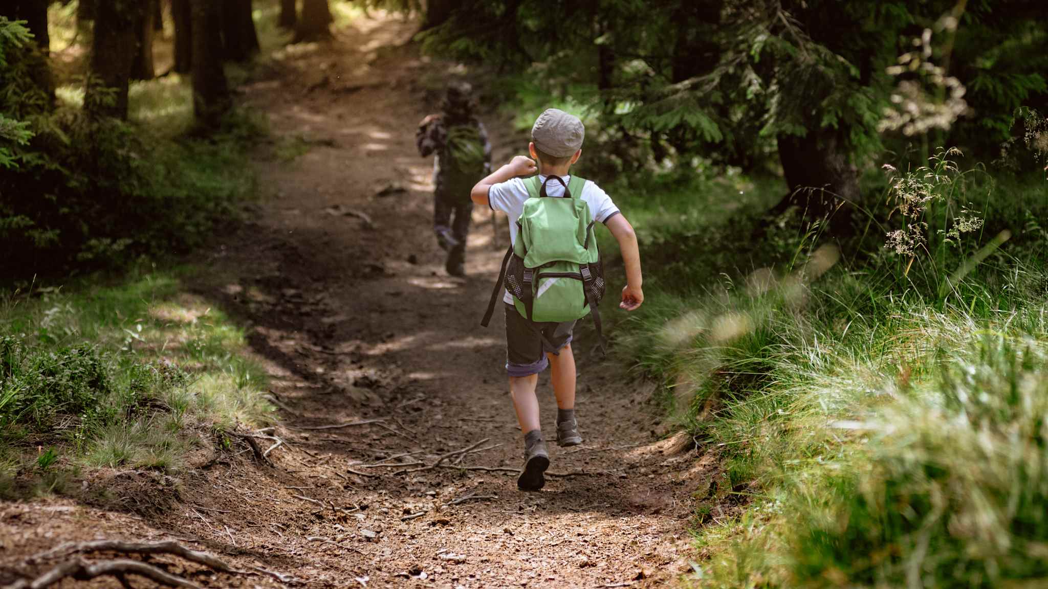 Kinder beim Wandern im Wald
