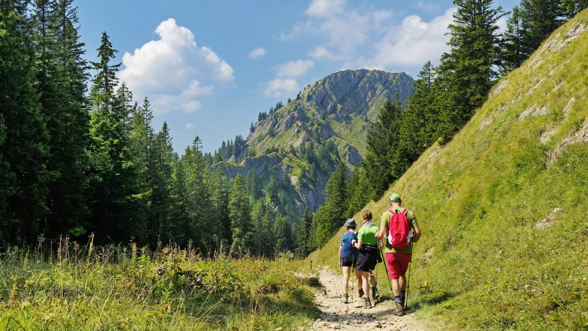 Leichtere Wanderwege sind ideal für Anfänger und erlebnisreich © Andreas P - stock.adobe.com