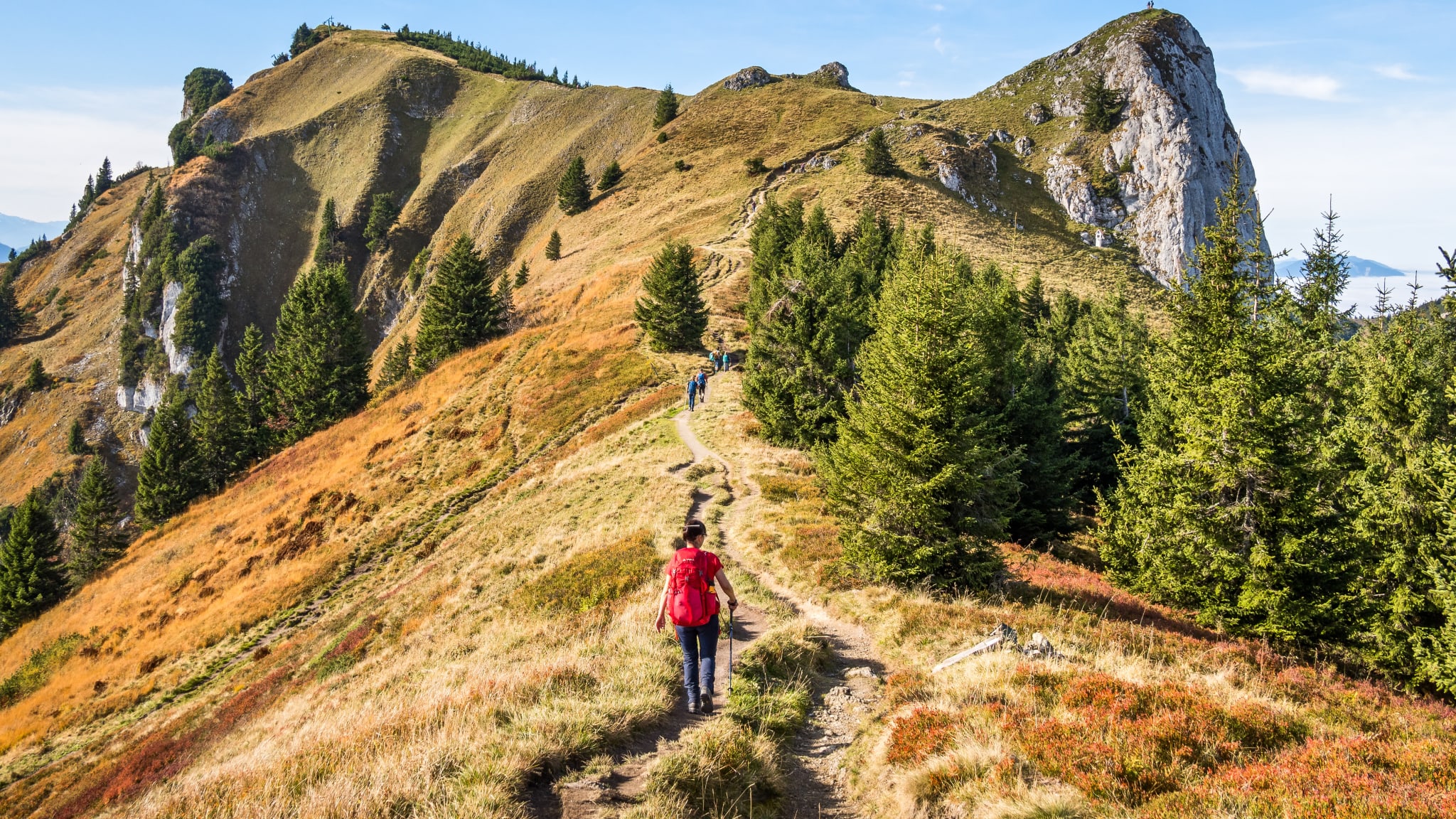 Brauneck im Schwarzwald © Frank Krautschik – stock.adobe.com