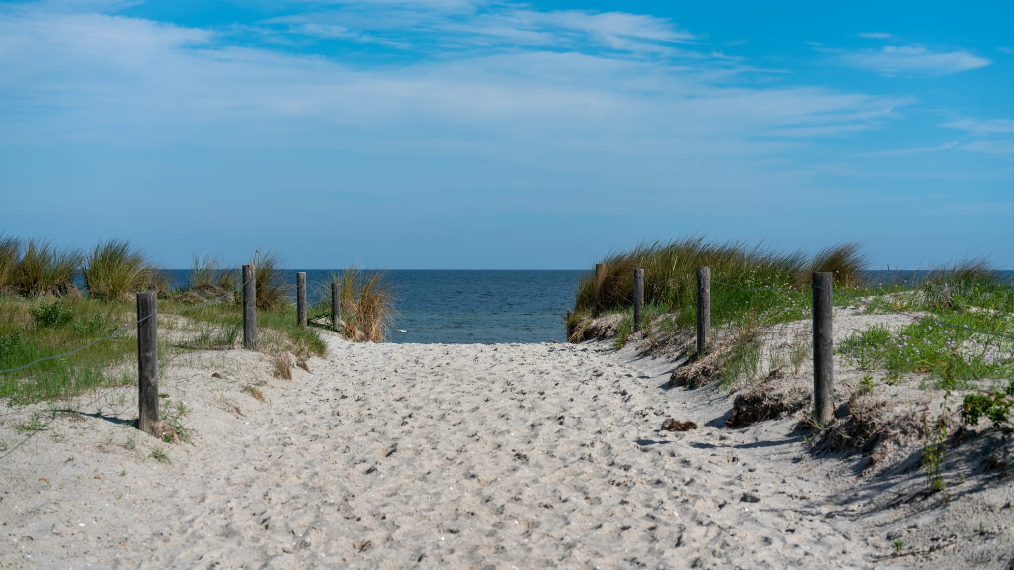 Weg zu einem Strand auf der Insel Poel, Mecklenburg-Vorpommern, Deutschland © TeleMakro Fotografie (Ina Hensel)/iStock / Getty Images Plus via Getty Images