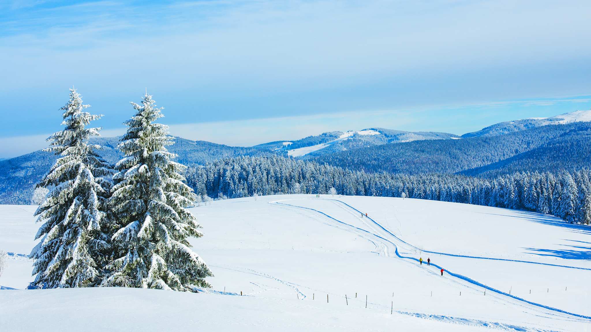 Winterlandschaft am Schauinsland im Schwarzwald, in der Nähe von Feldberg, Deutschland. © PK-Photos via Getty Images