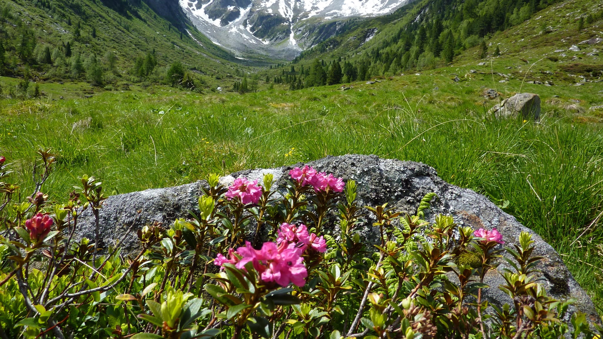 Bergblick Suedtirol, Italien.