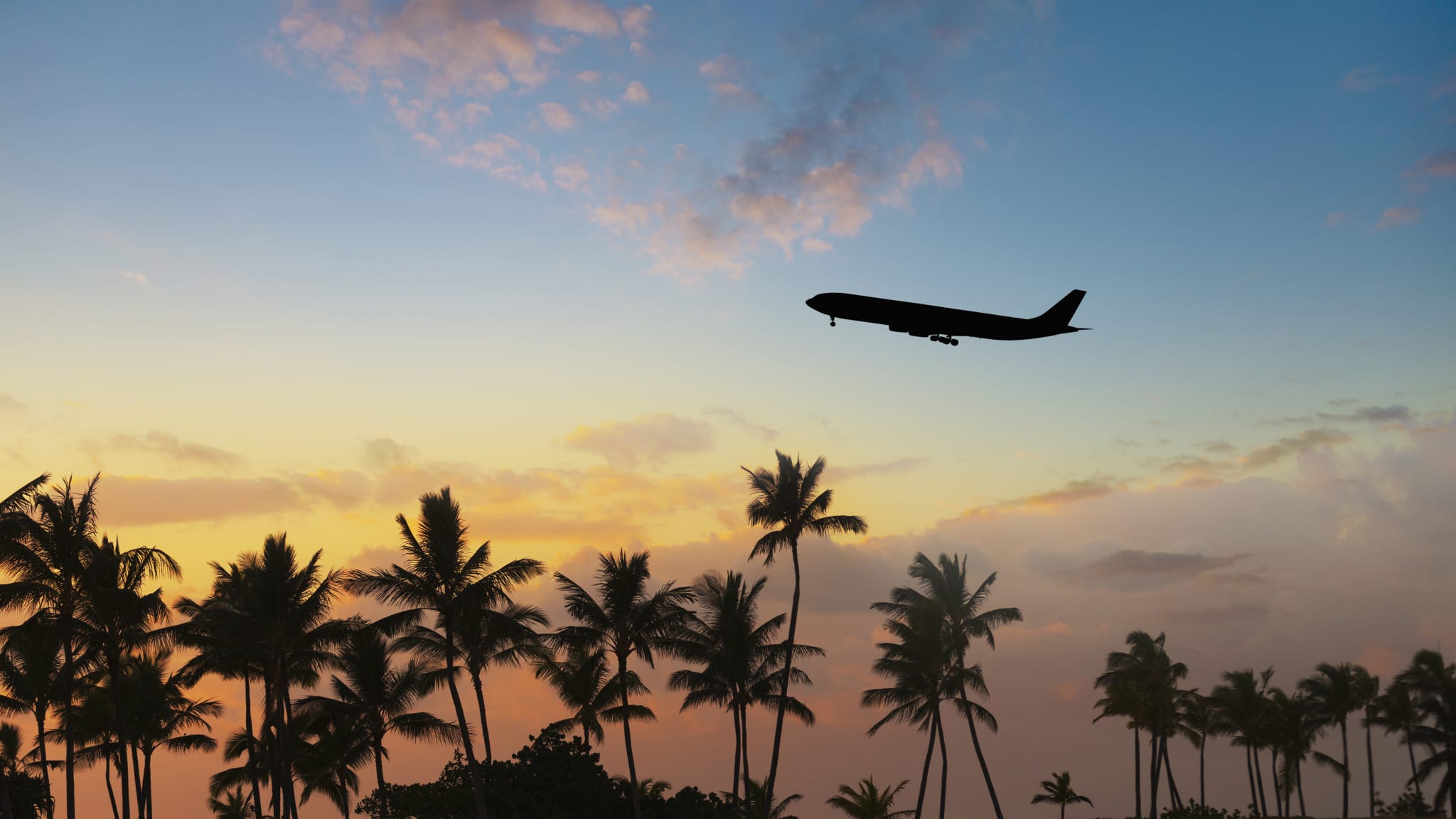 Flugzeug hebt über Palmen ab