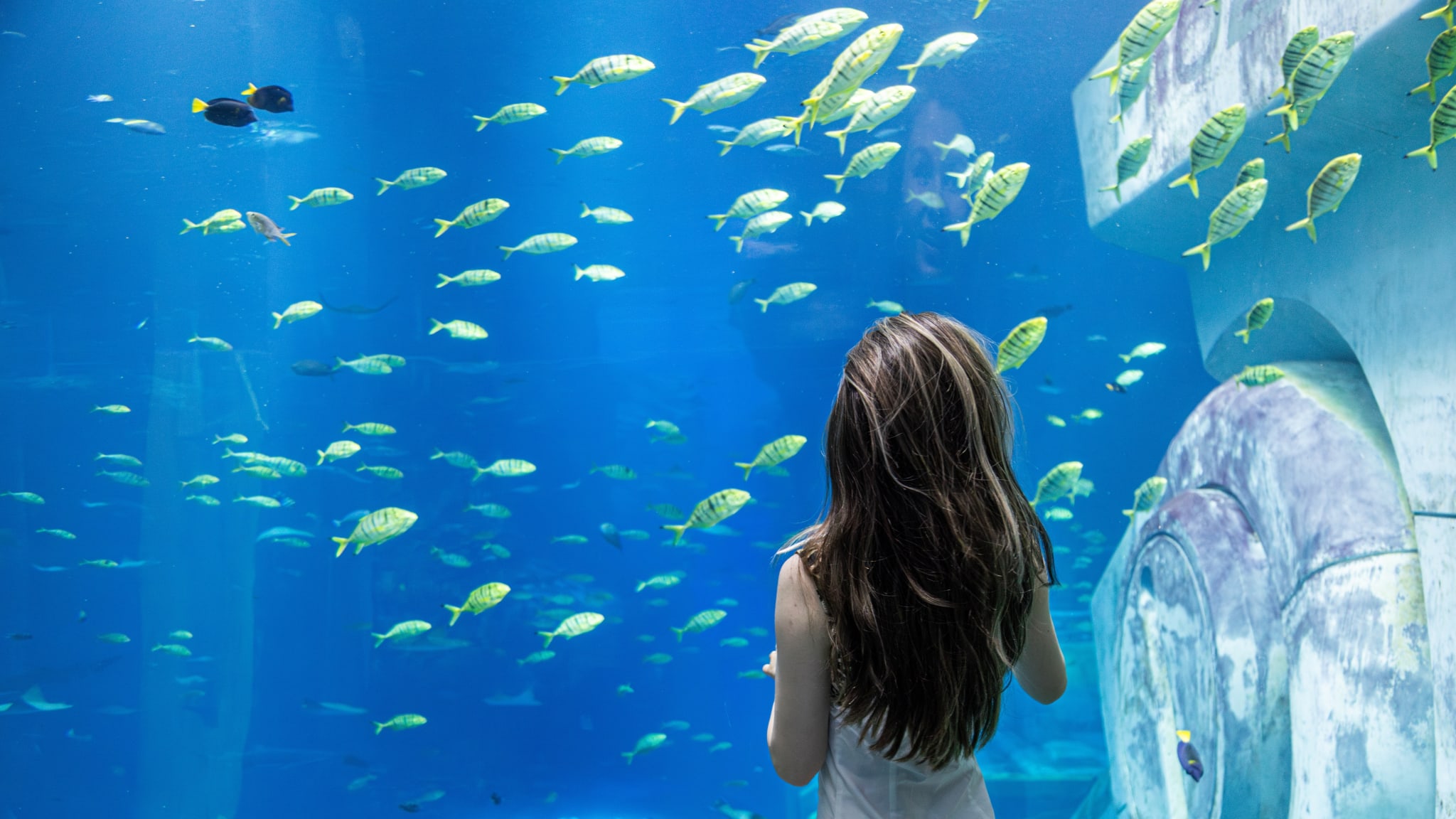 Frau steht an einem Unterwasserfenster und blick auf bunte Fische.