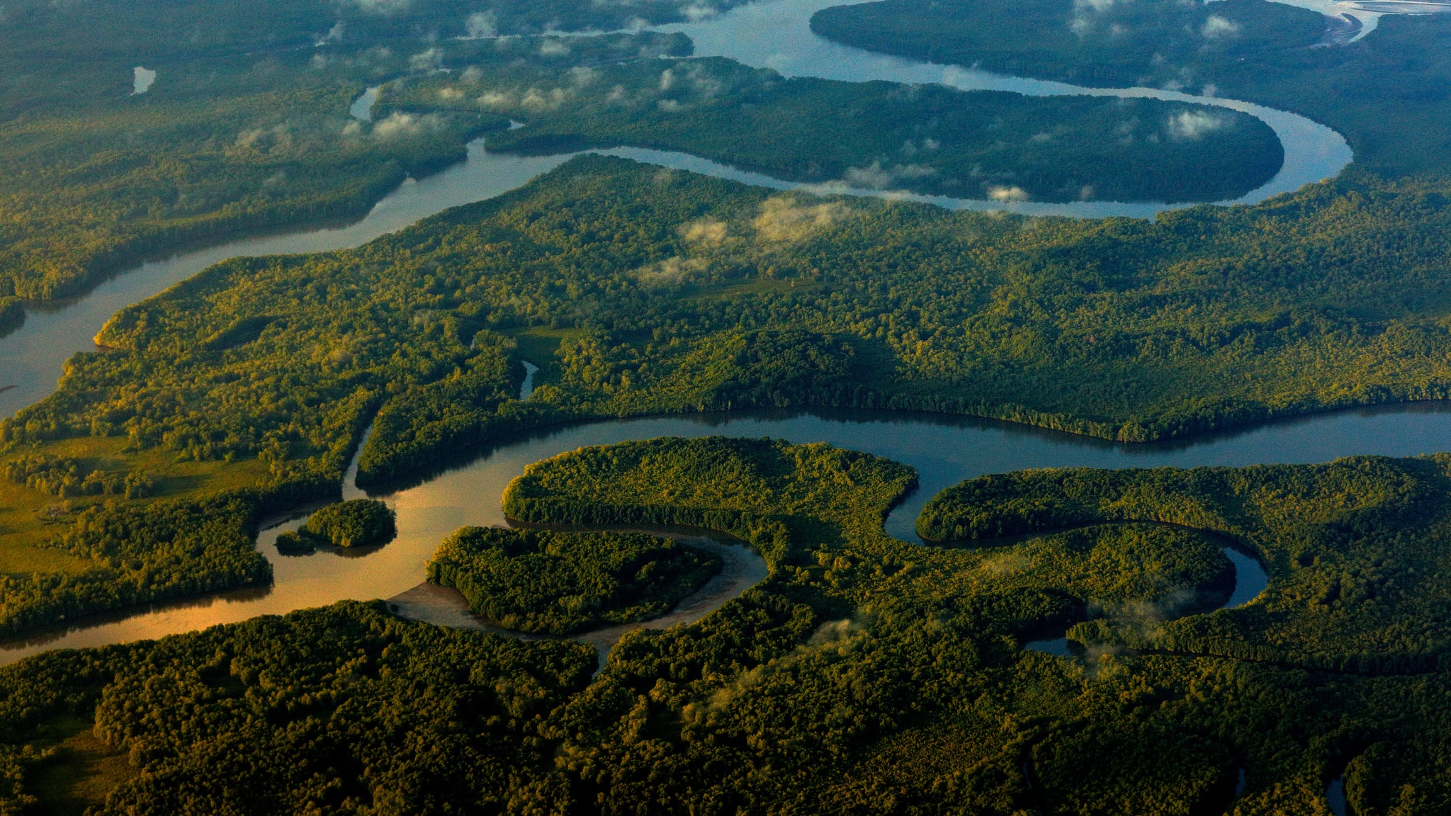 Der Nationalpark Corcovado in Costa Rica, Zentralamerika © stock.adobe.com - ondrejprosicky