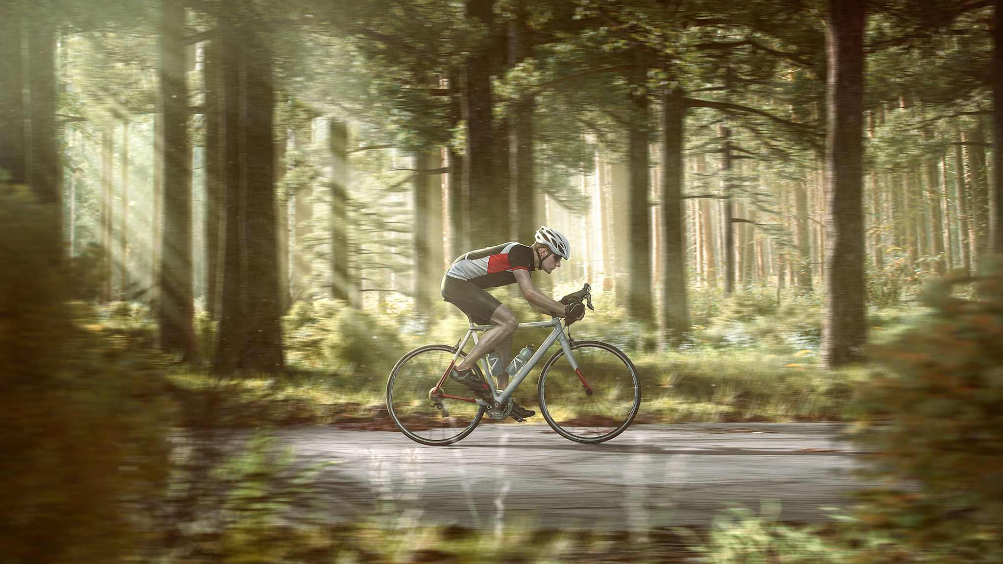 Rennradfahrer im Wald