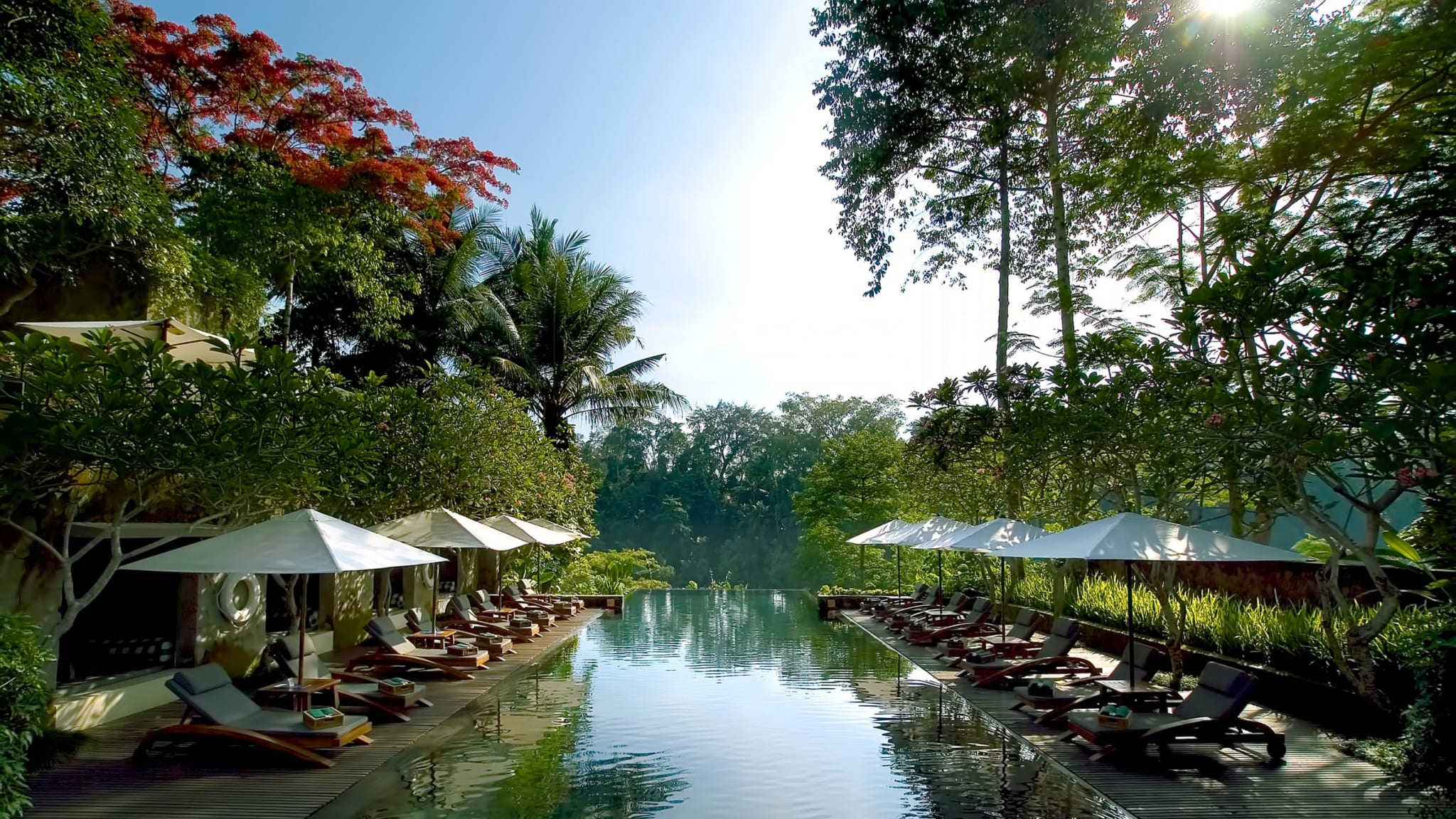 Von Liegen gesäumter Pool des Maya Ubud Resort & Spa Bali