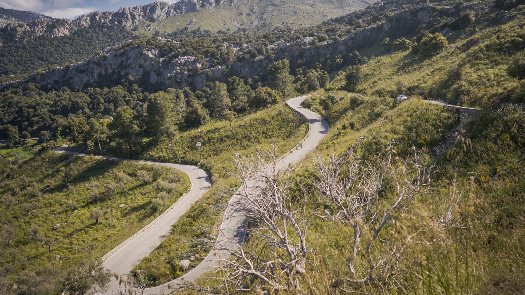 Die Straße nach Sa Calobra ist die ultimative Piste für KurvenkünstlerInnen