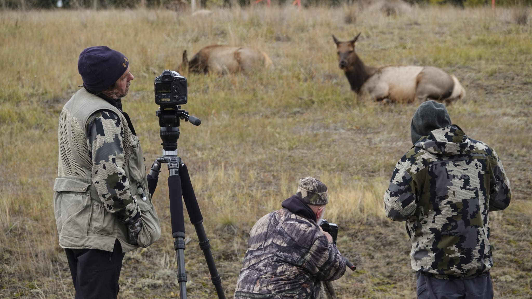 Kamerateam filmt Elks