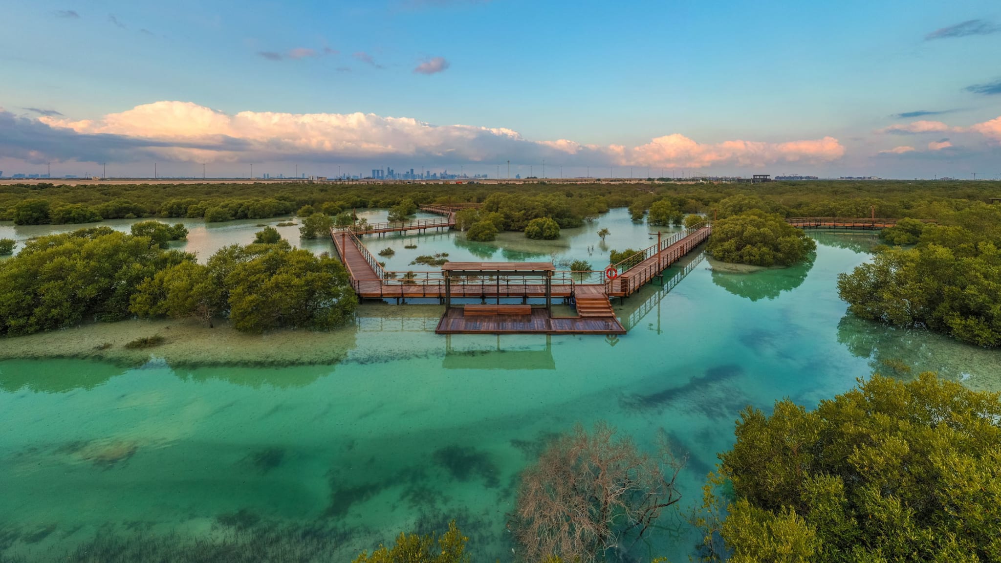 Jubail Mangrove Park Das Natur Highlight Von Abu Dhabi