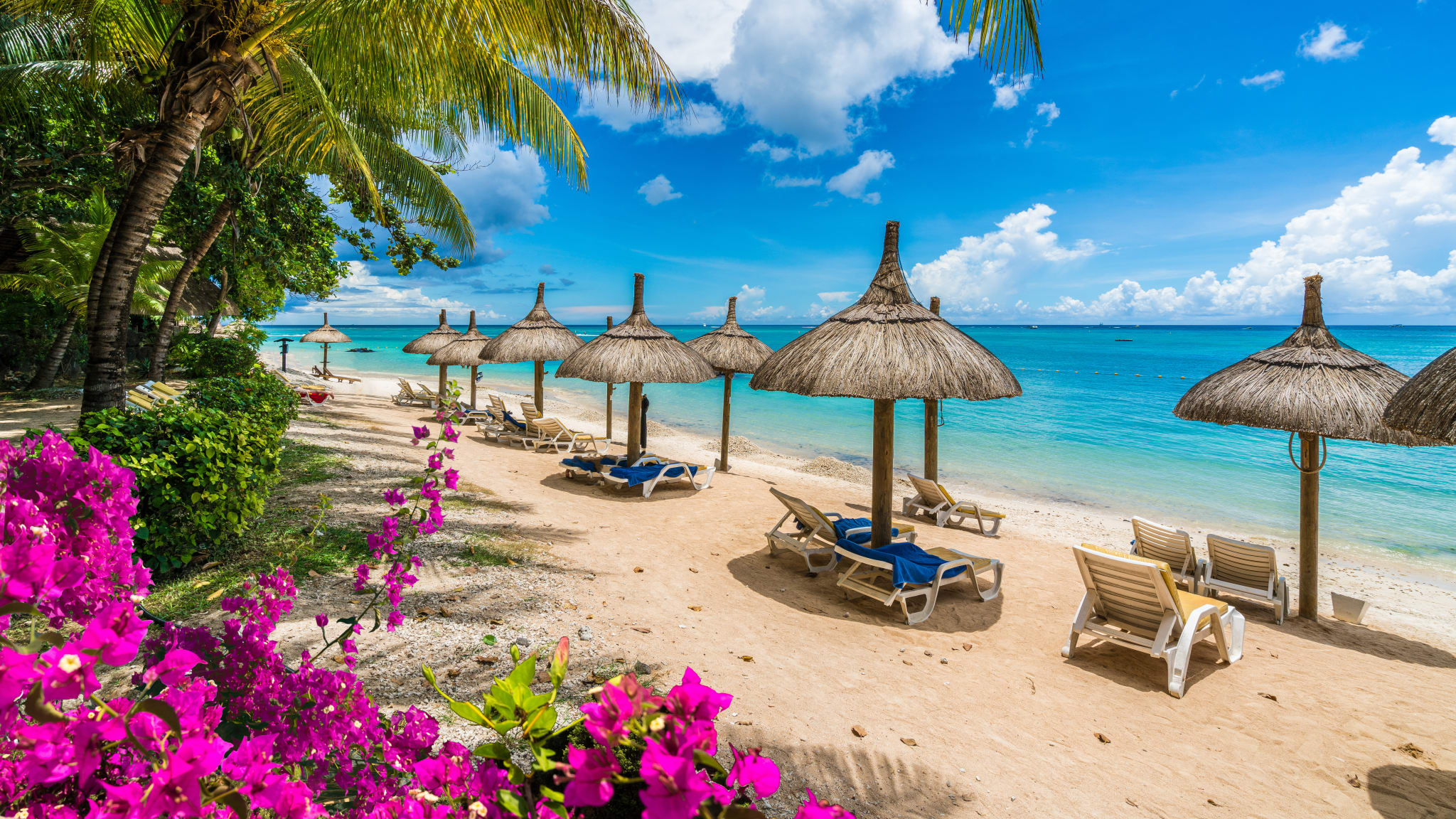 Bliumen, Palmen, ein strohgedeckte Sonnendächer und Liegen an einem Strand auf Mauritius