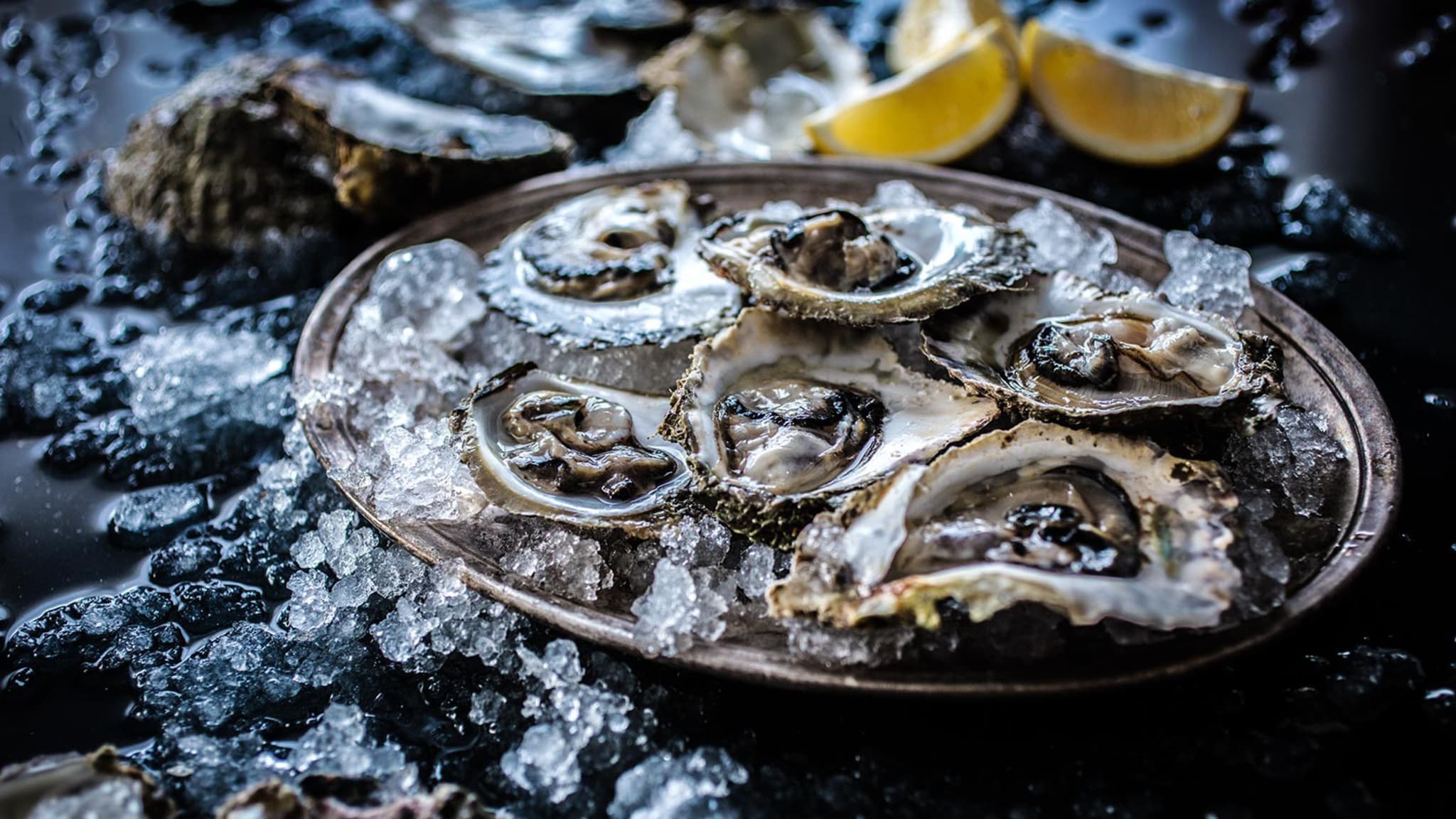 Eine silberne Schale mit eisgekühlten Austern