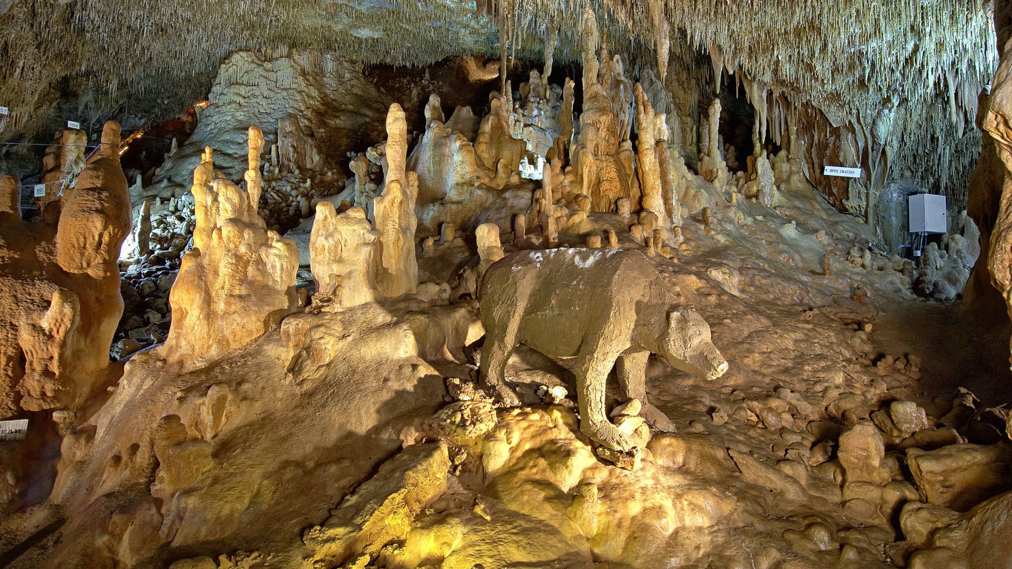 Tropfsteinhöhle von Petralona