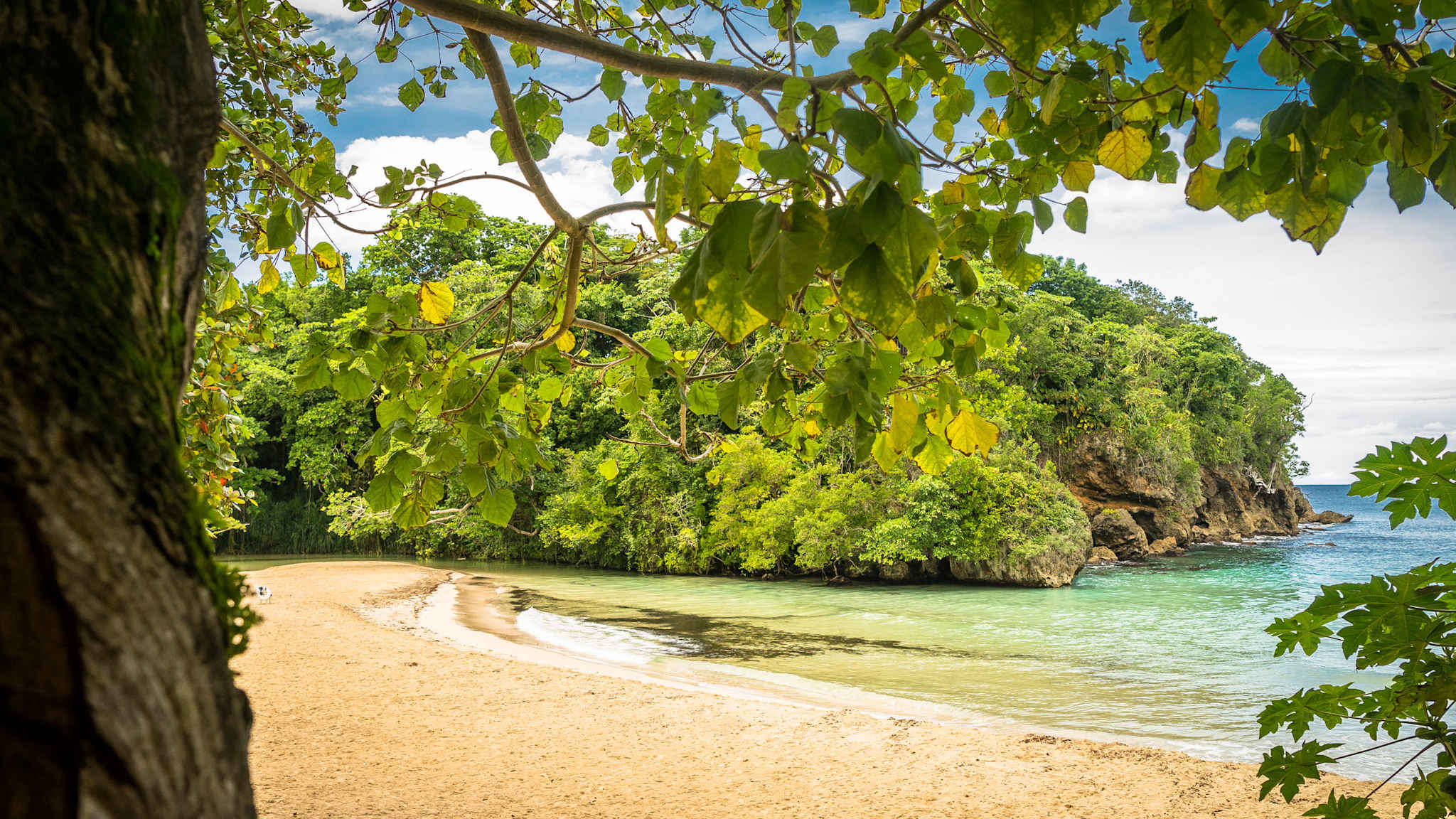 Frenchmans Cove Beach bei Port Antonio