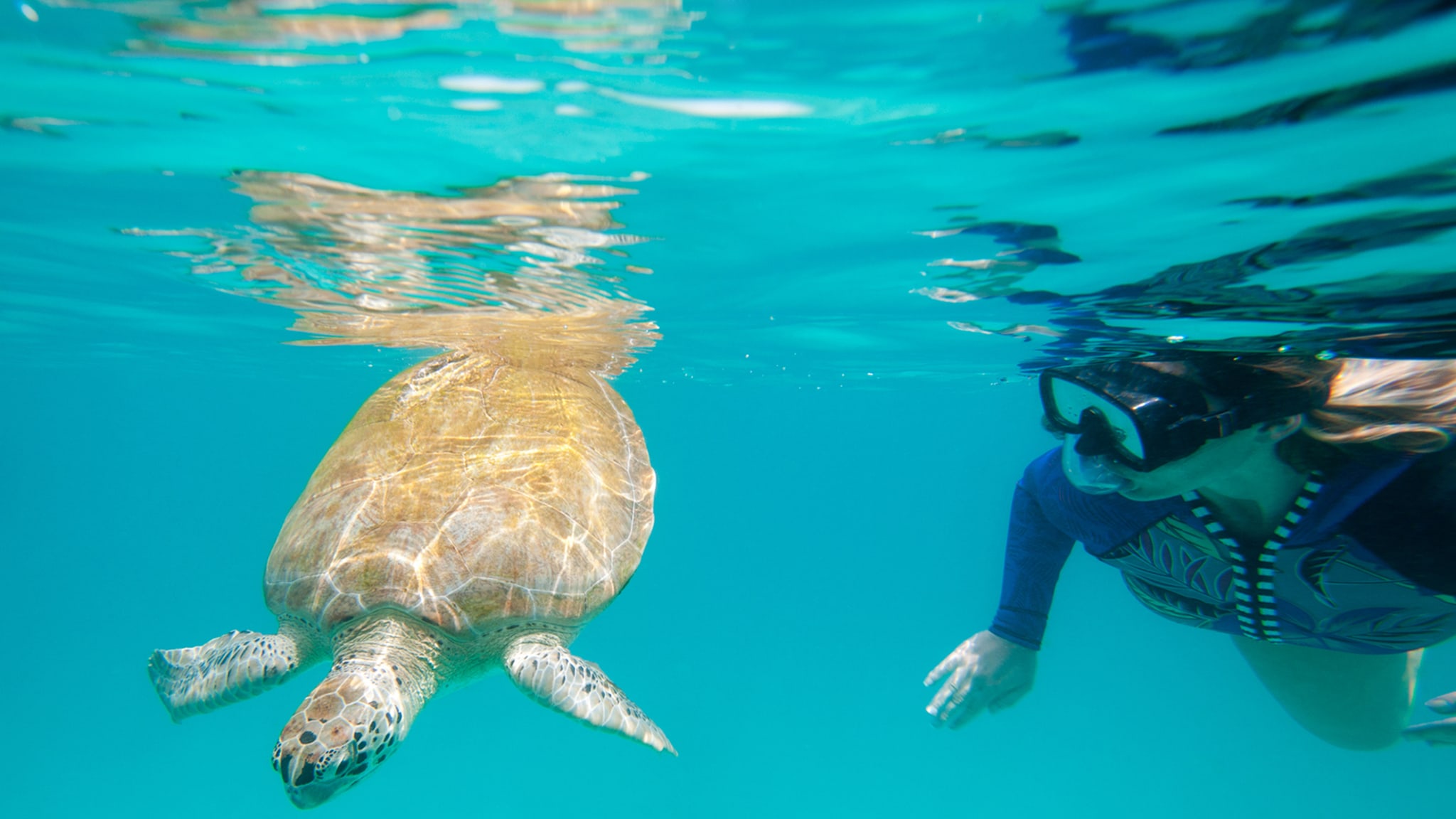 Wassersport auf Barbados © visitBarbados