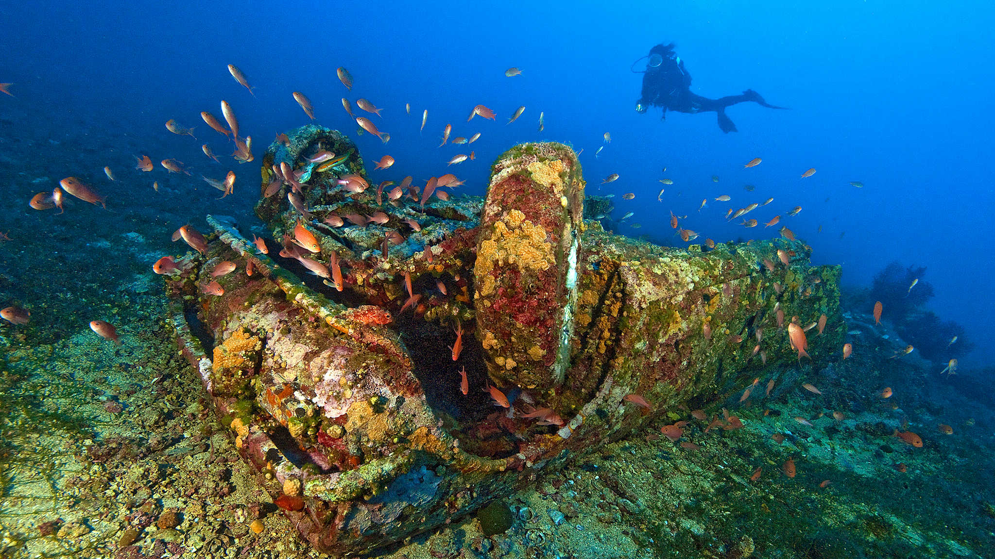 Autowrack vor Sardinien
