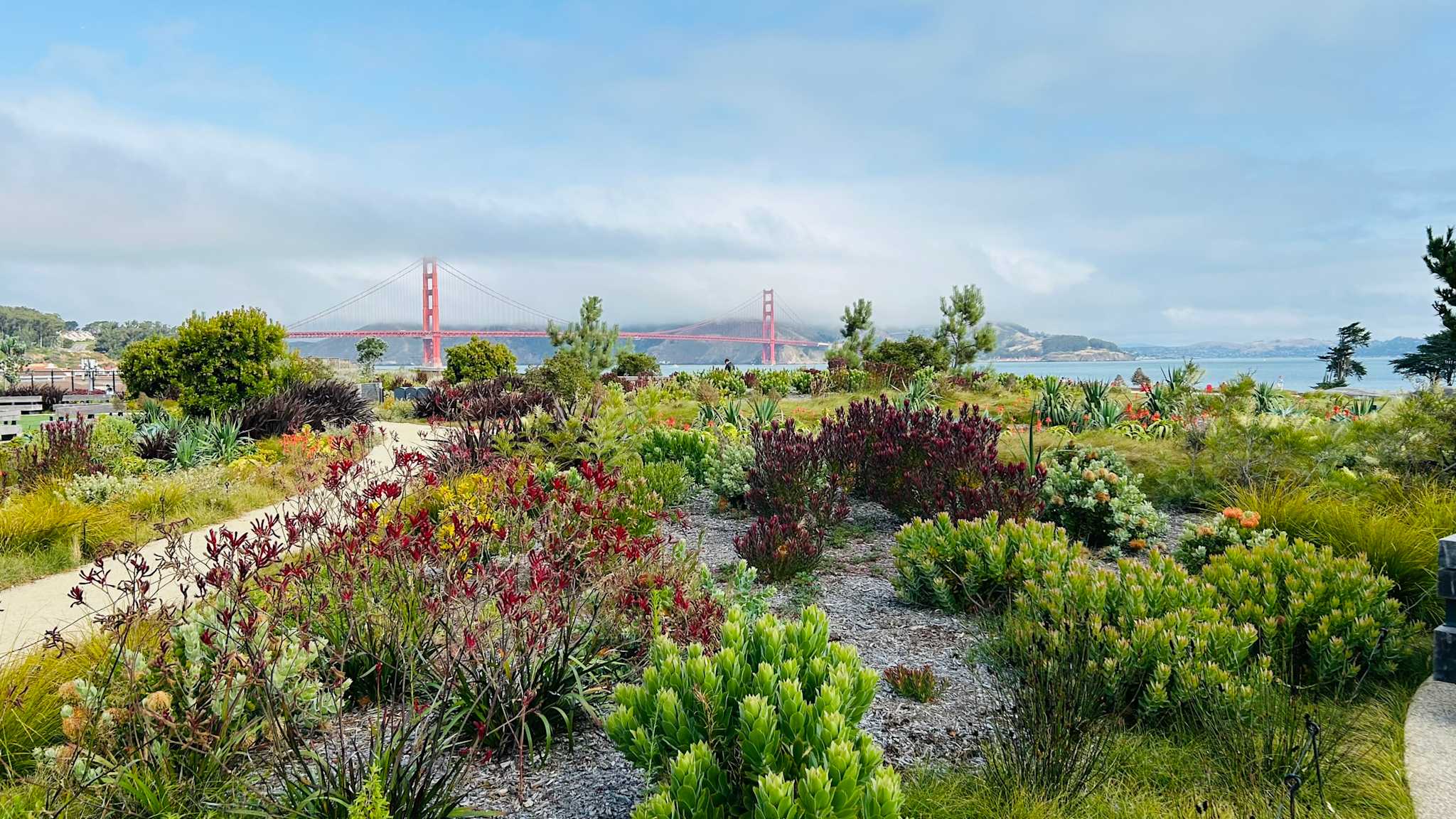 Presidio mit Golden Gate Bridge in San Francisco, Kalifornien, USA