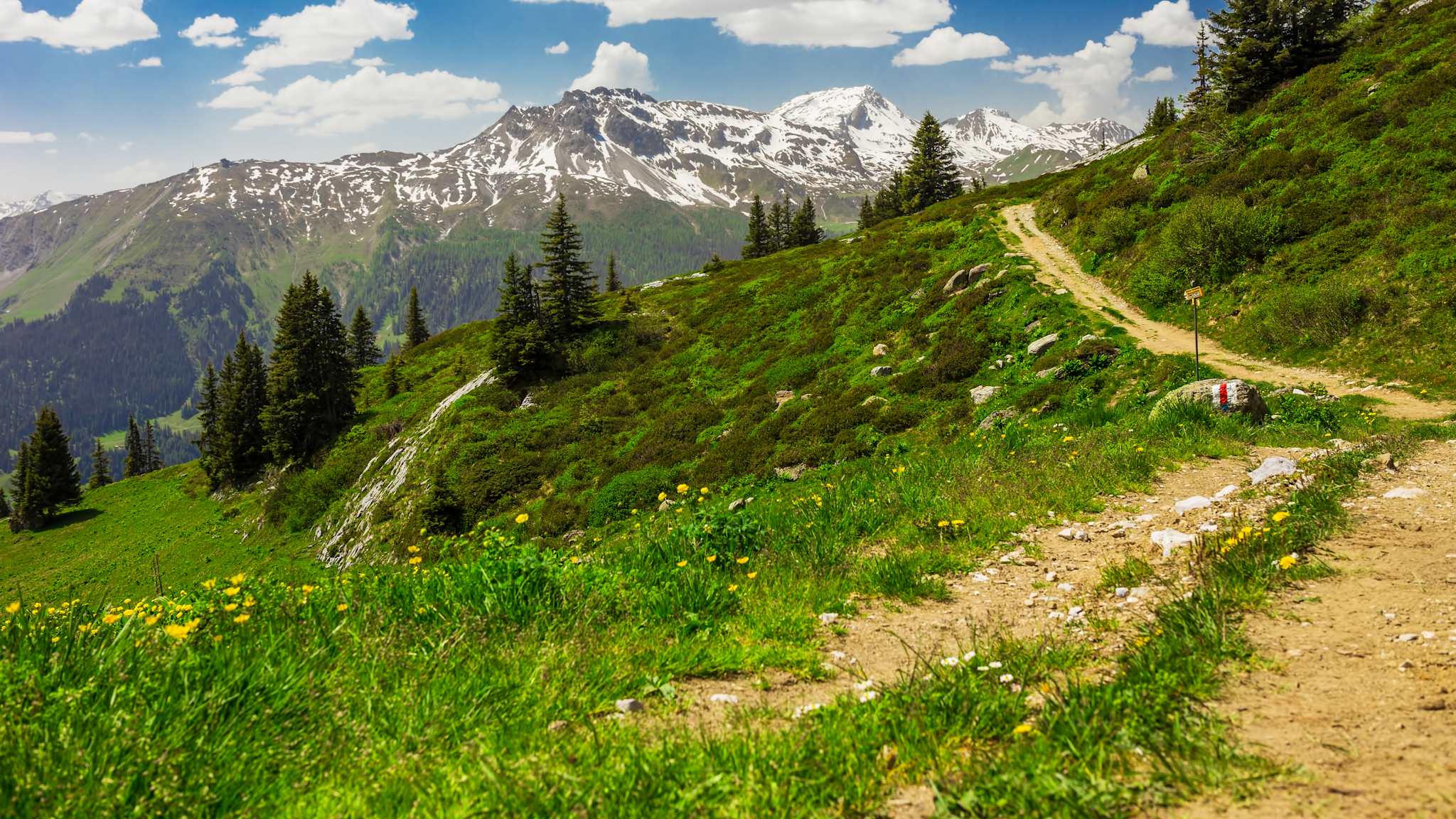 Wanderweg mit Blick auf die Schweizer Berge