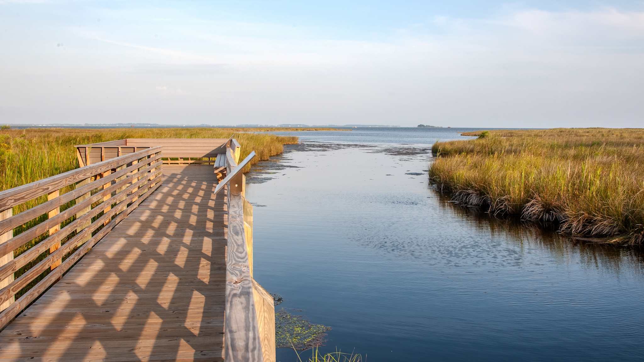 Klassische Marschlandschaft in den Outer Banks, USA