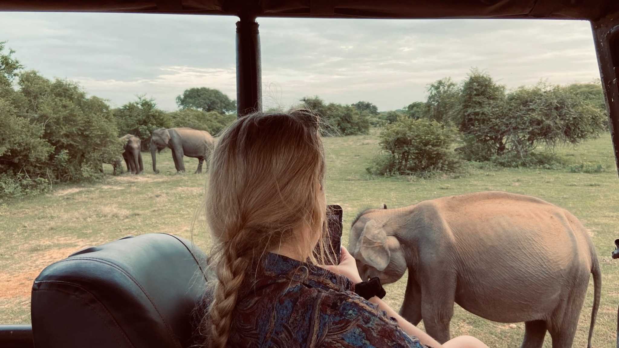Nele fotografiert die Elefanten im Yala Nationalpark, Sri Lanka © Nele Gerken