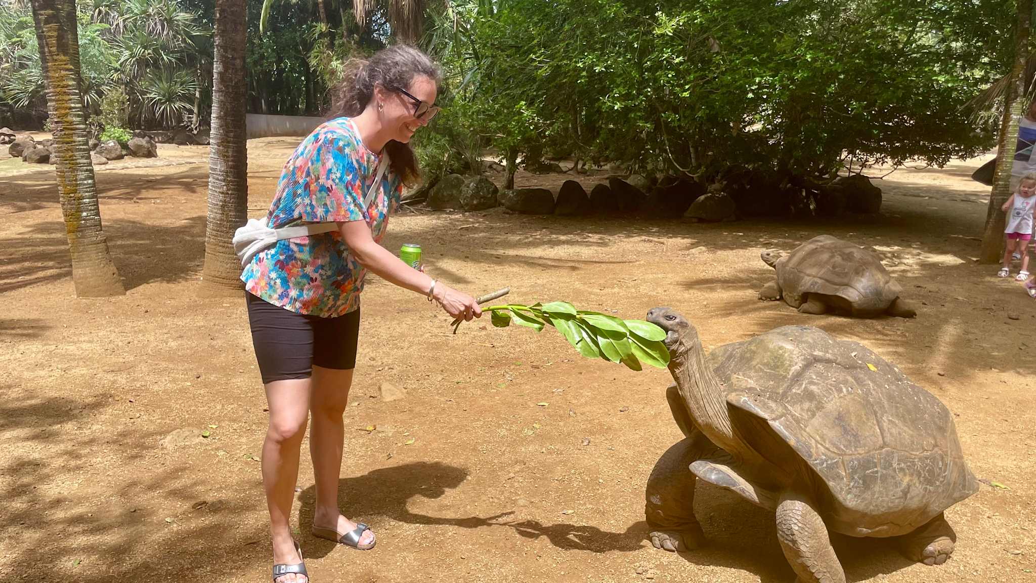 Schildkröten im La Vanilla Nauture Park auf Mauritius ©Theresa Mayer HolidayCheck Mitarbeiterin