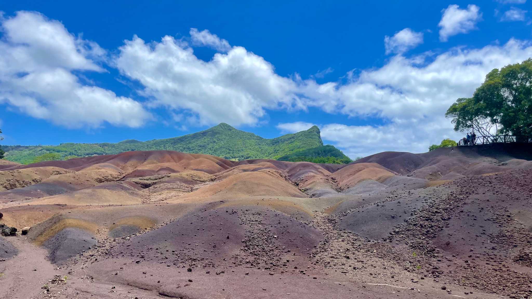 Siebenfarbige Erde in Chamarel, Geopark auf Mauritius ©Theresa Mayer HolidayCheck Mitarbeiterin