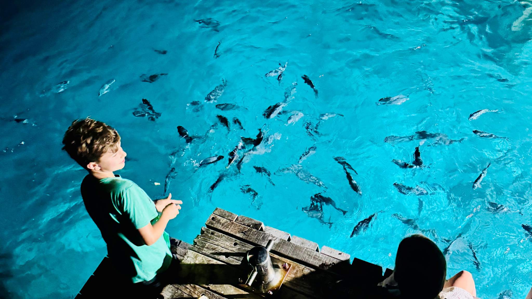 Beleuchteter Steg in der Nacht mit guten Blick auf die Unterwasserwelt © Nina Fleischhauer