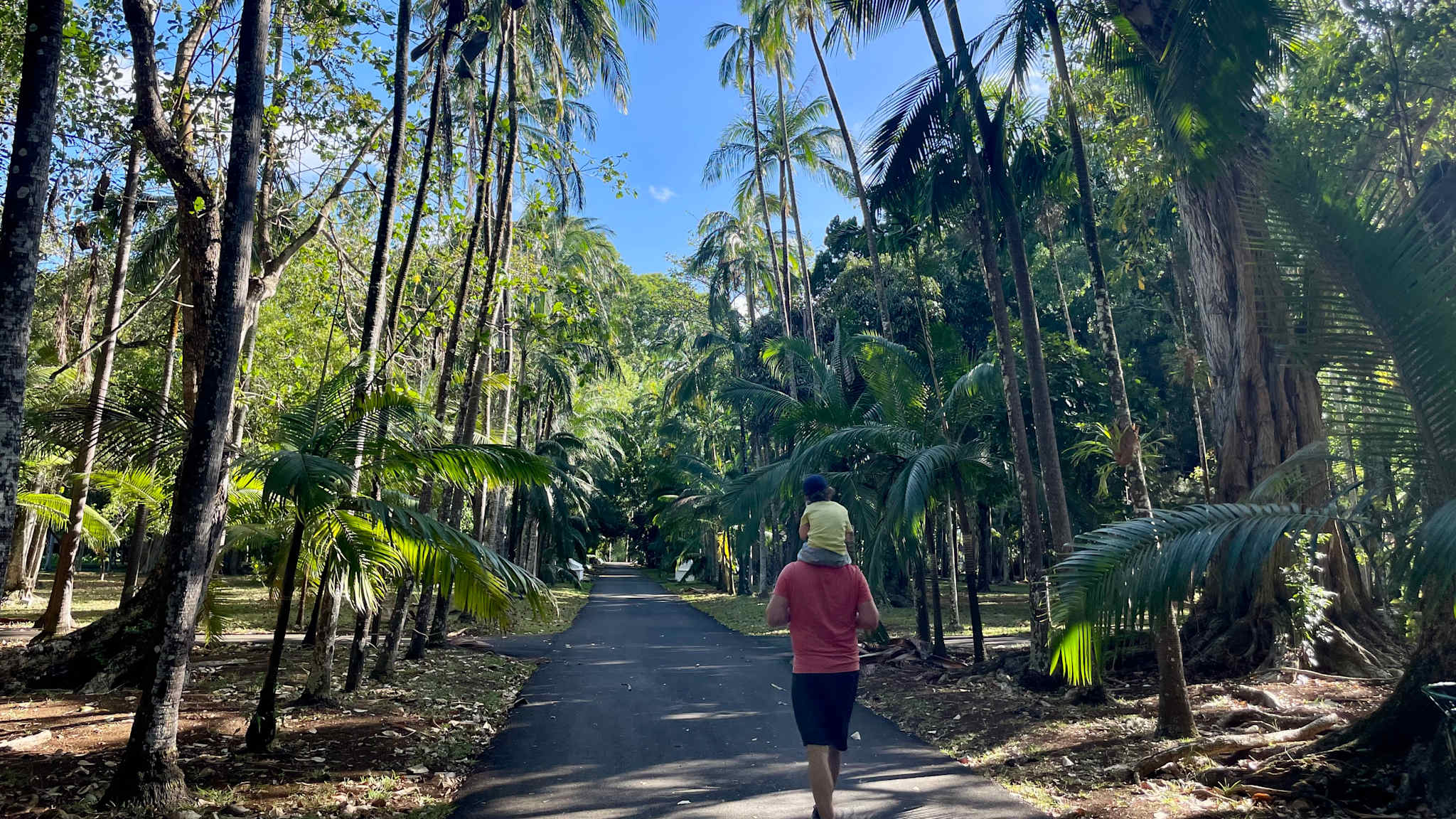 Botanischer Garten Pamplemousse, Mauritius ©Theresa Mayer HolidayCheck Mitarbeiterin