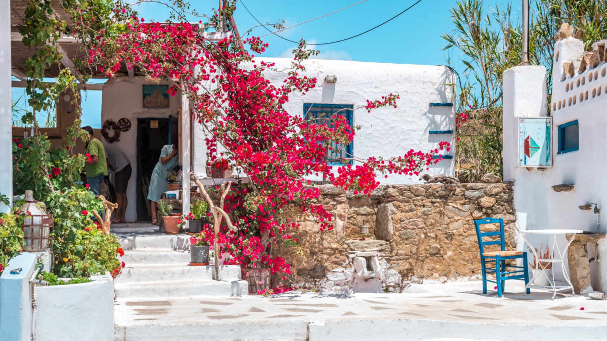 Organic Farm Vioma auf Mykonos © Tom & Ella – Greece Moments