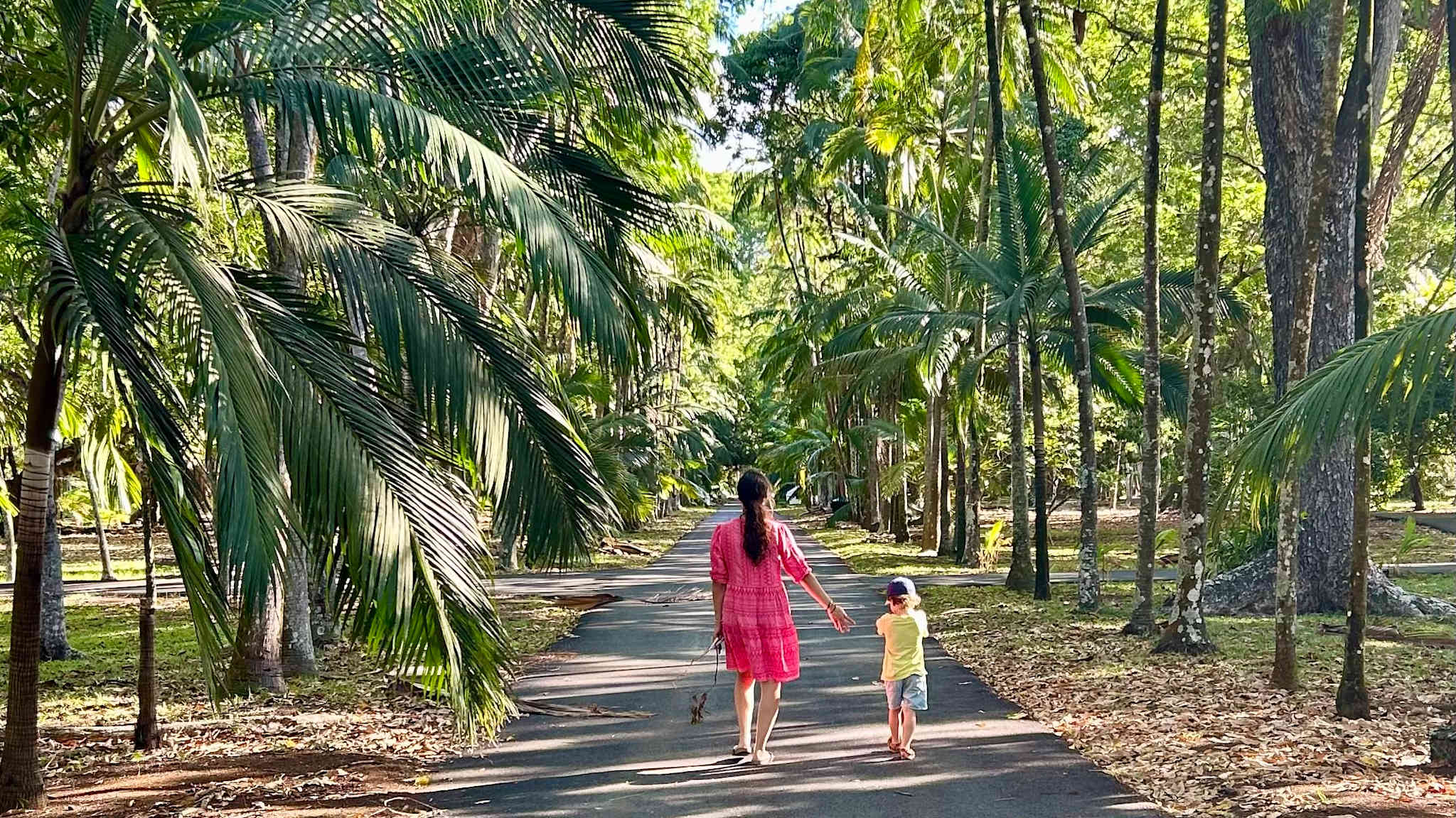 Zwischen Palmen im Botanischen Garten Pamplemousses, Mauritius©Theresa Mayer HolidayCheck Mitarbeiterin