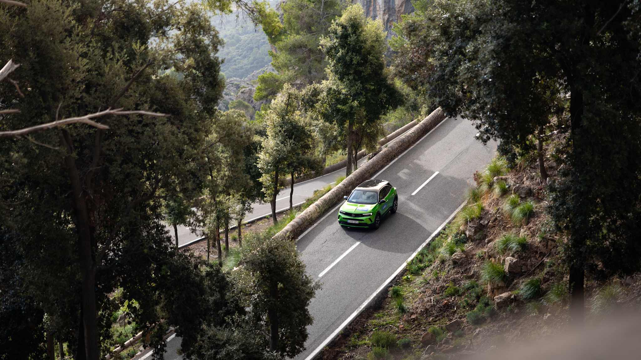 Mietwagen fährt auf einer Straße im Wald