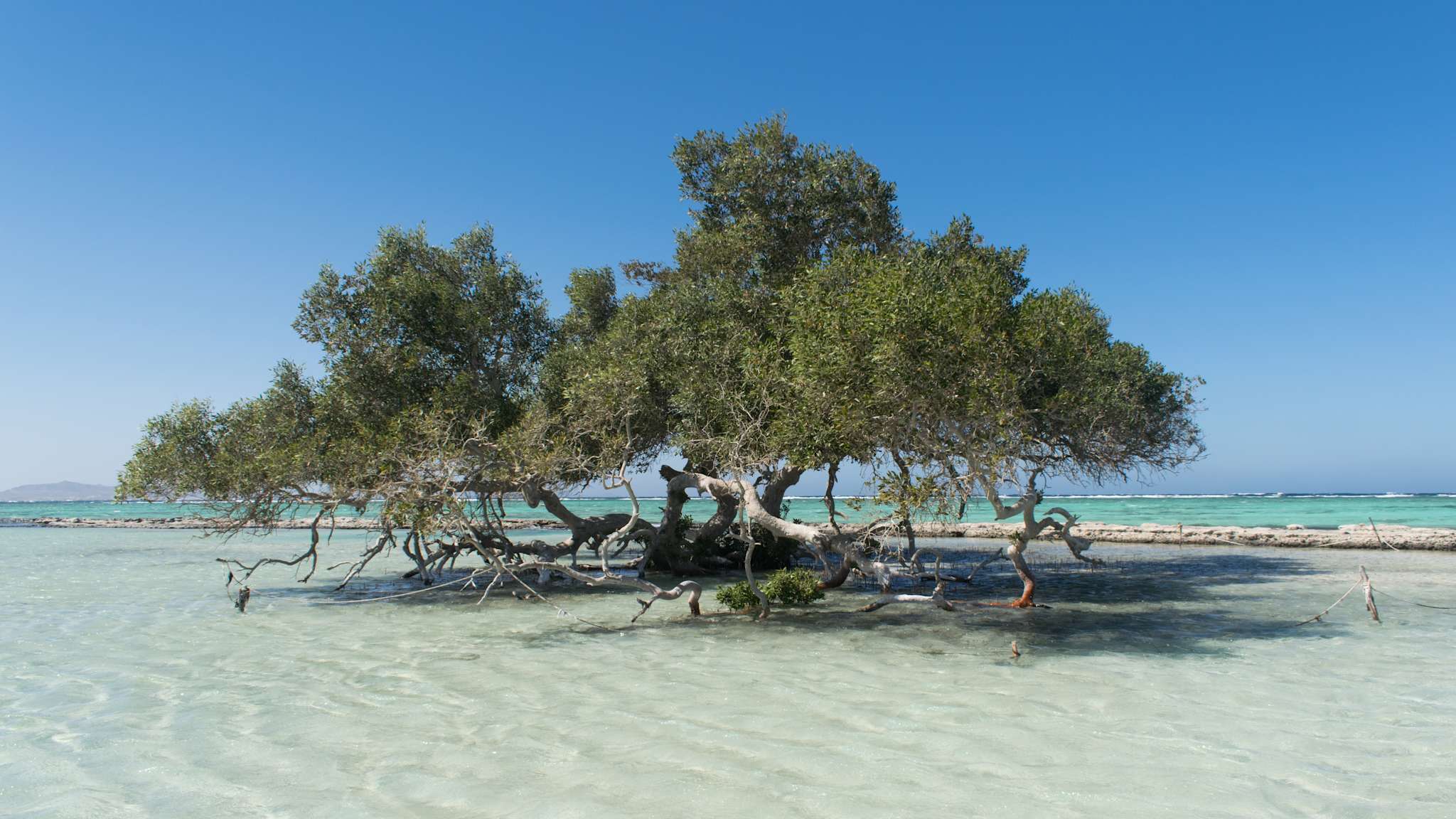 Wadi El Gemal National Park, Marsa Alam/El Quseir