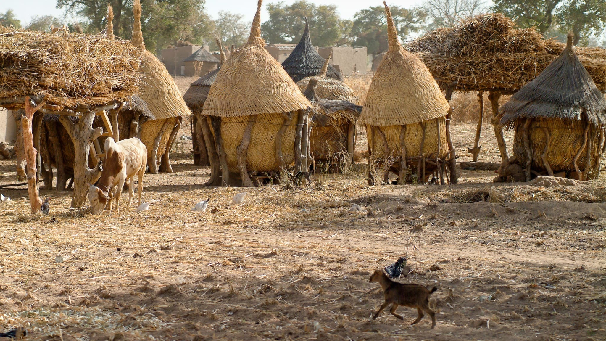 Africa, Burkina Faso, Ouagadougou, View Of Mud Hut Village (Year 2007)