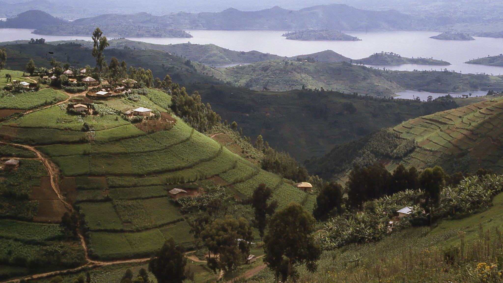Bergdörfer mit Blick auf den Lake Ruhondo Central Highlands Ruanda Afrika