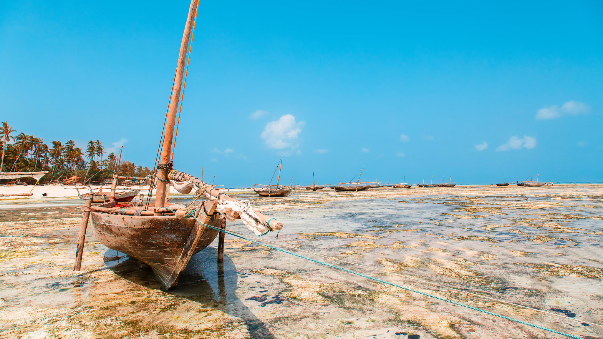 Nungwi, Kendwa, Sansibar / Zanzibar