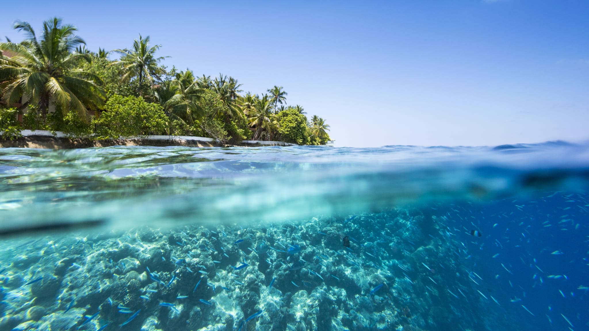 Ari Atoll, Malediven © Getty Images - 	by JBfotoblog